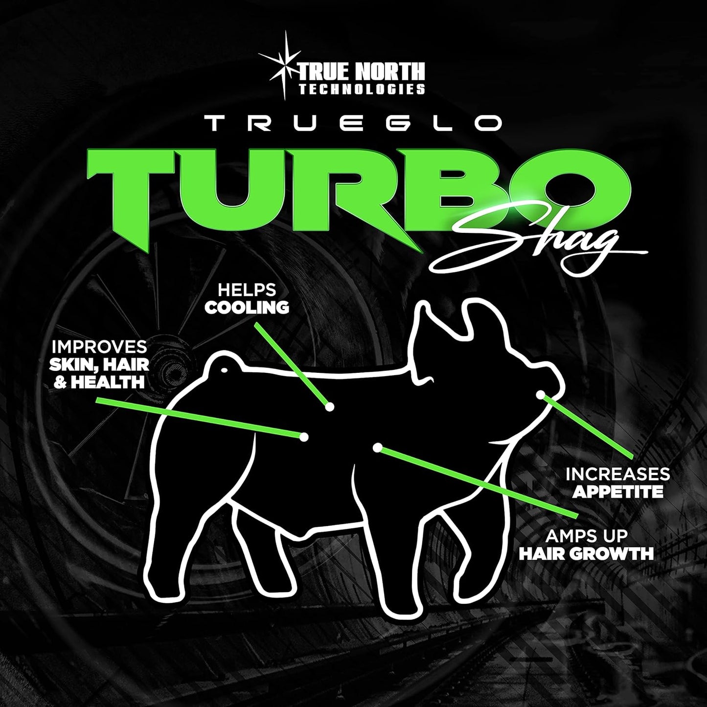 High-Speed TrueGlo Shag Carpet for Quick and Easy Flooring Transformation