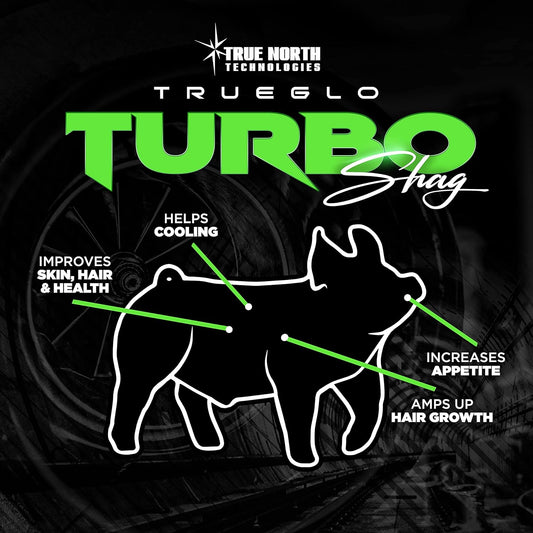 High-Speed TrueGlo Shag Carpet for Quick and Easy Flooring Transformation