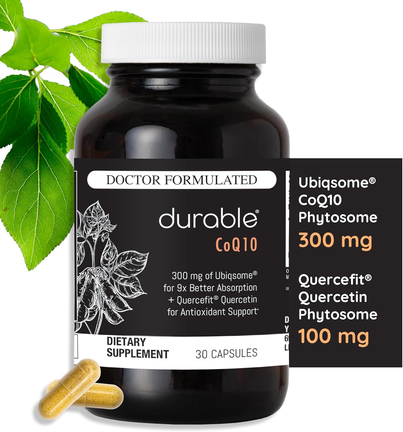 Highly Absorbable 300mg CoQ10 Phytosome for Heart Health - Antioxidant Supplement with Superior Absorption, 180 Capsules, Made in USA