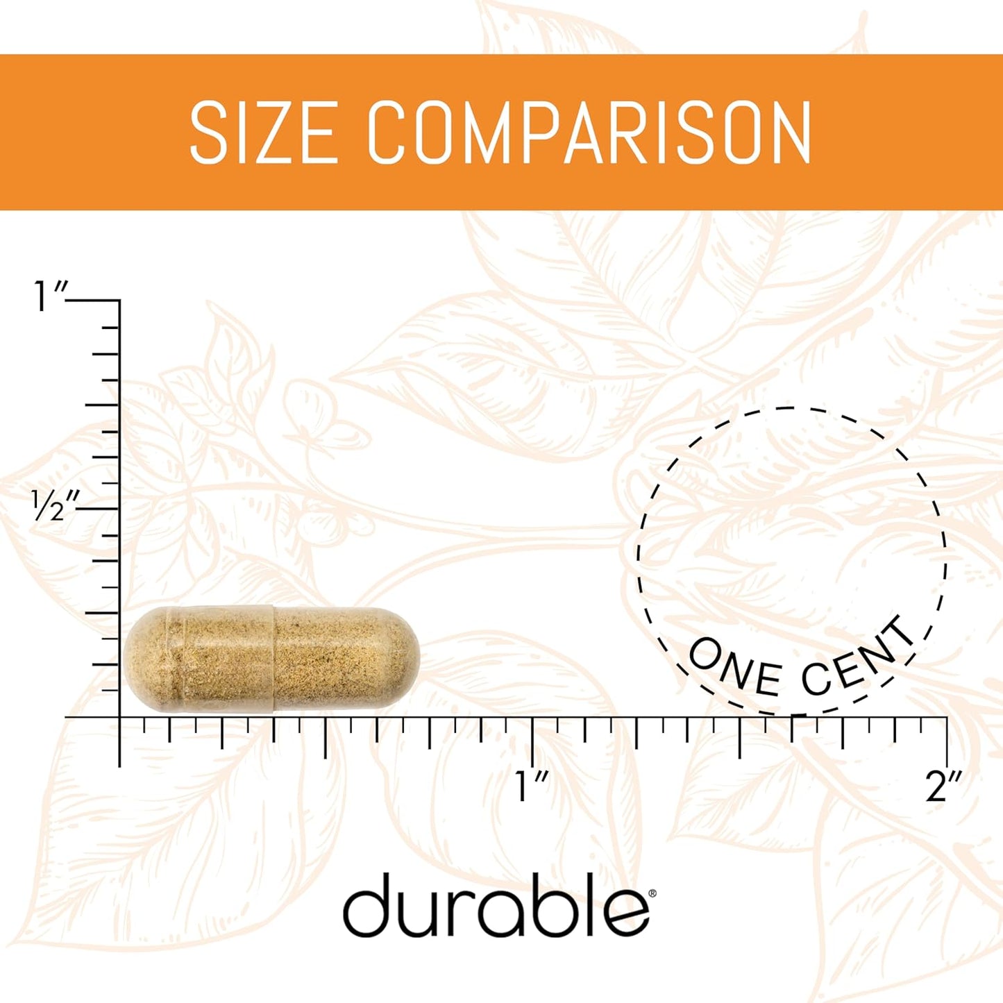 Highly Absorbable 300mg CoQ10 Phytosome for Heart Health - Antioxidant Supplement with Superior Absorption, 180 Capsules, Made in USA