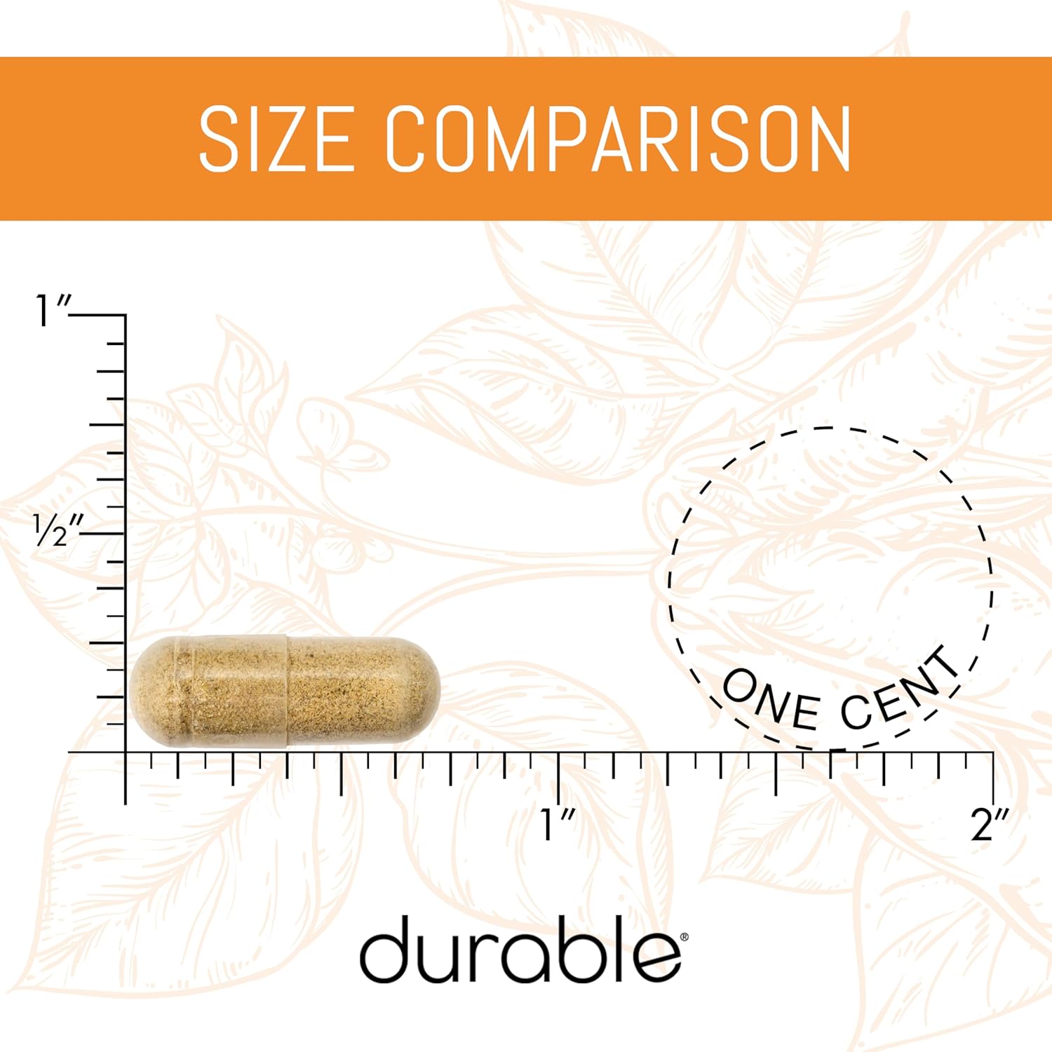 Highly Absorbable 300mg CoQ10 Phytosome for Heart Health - Antioxidant Supplement with Superior Absorption, 180 Capsules, Made in USA