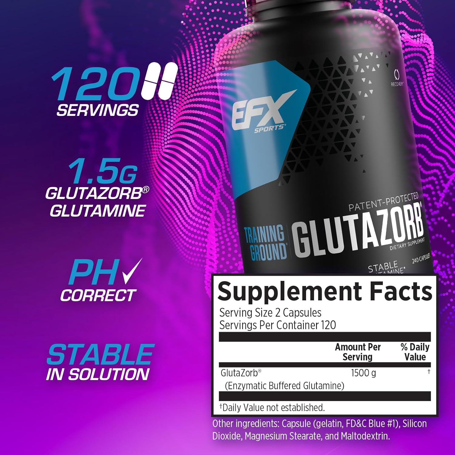 Highly Concentrated Glutamine Supplement for Digestion & Immune Support | EFX Sports Training Ground Glutazorb Powder | 140 Servings