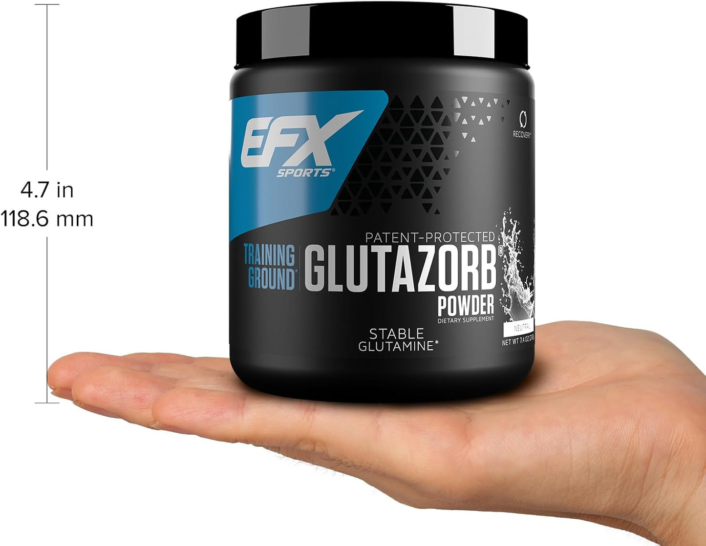 Highly Concentrated Glutamine Supplement for Digestion & Immune Support | EFX Sports Training Ground Glutazorb Powder | 140 Servings