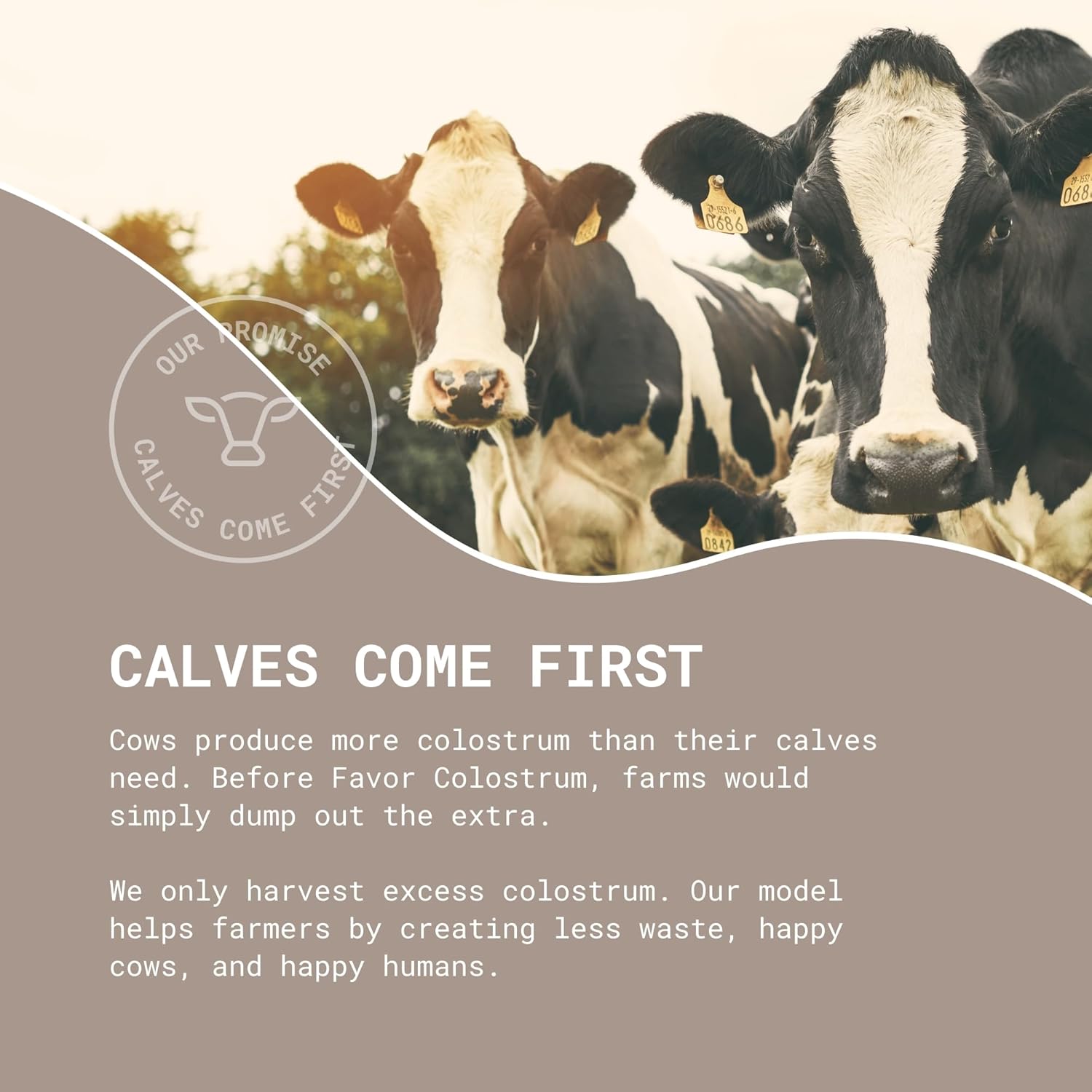 Holistic Human Health Bovine Colostrum Packets | Liposomal & Whole | High IgG | Travel-Friendly | USA-Made | Easy Mix [Unflavored]