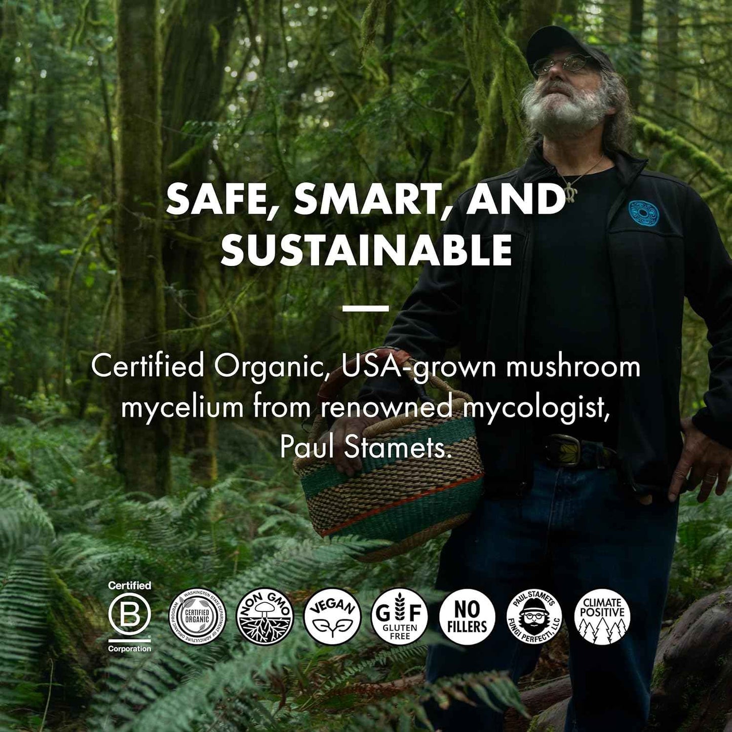 Host Defense BrainPower Stack Powder - Targeted Brain Support Supplement - Powder Mushroom Supplement with Lion's Mane, Niacin (B3) & Vitamin B12 - Herbal Brain Support - 100g (66 Servings)*