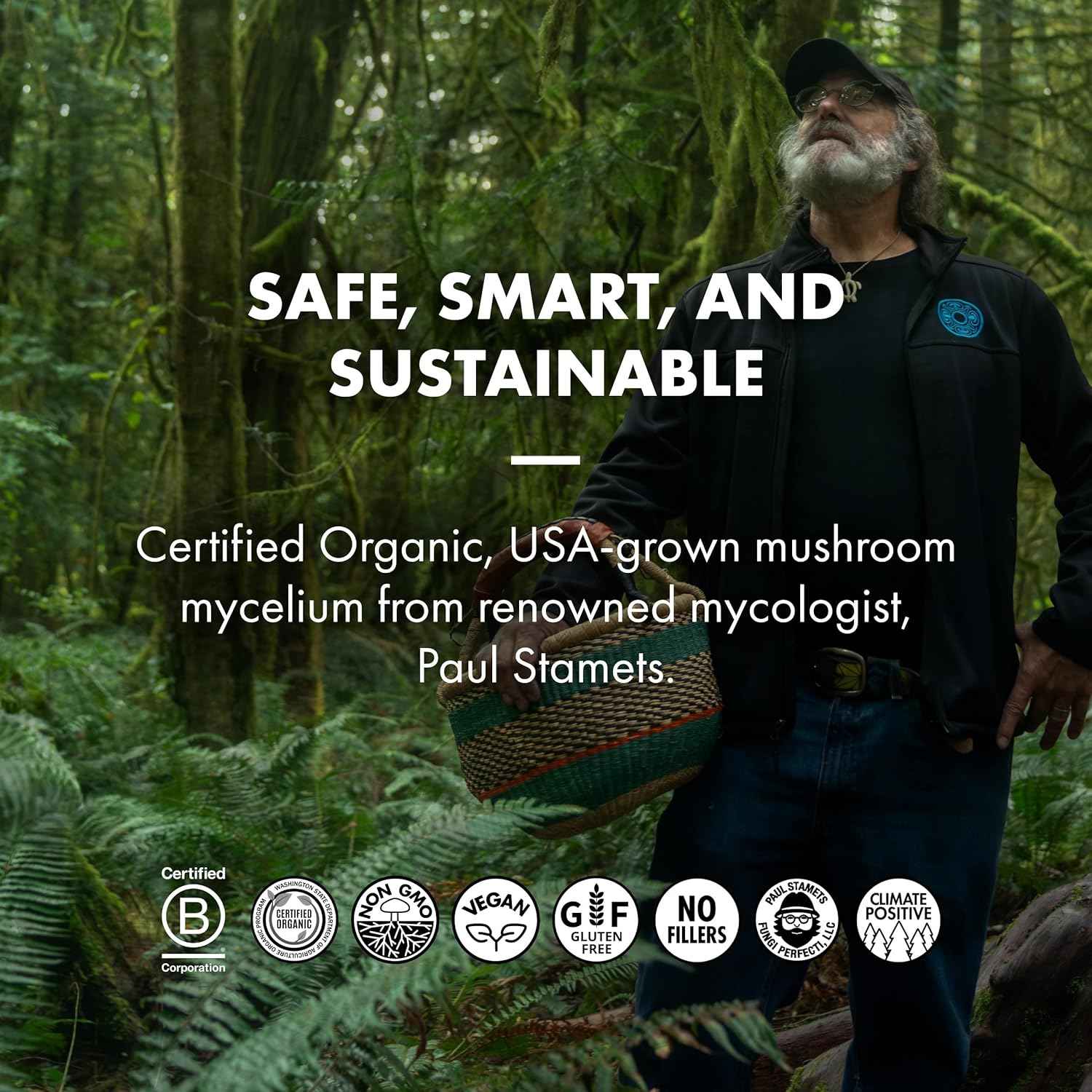 Host Defense BrainPower Stack Powder - Targeted Brain Support Supplement - Powder Mushroom Supplement with Lion's Mane, Niacin (B3) & Vitamin B12 - Herbal Brain Support - 100g (66 Servings)*