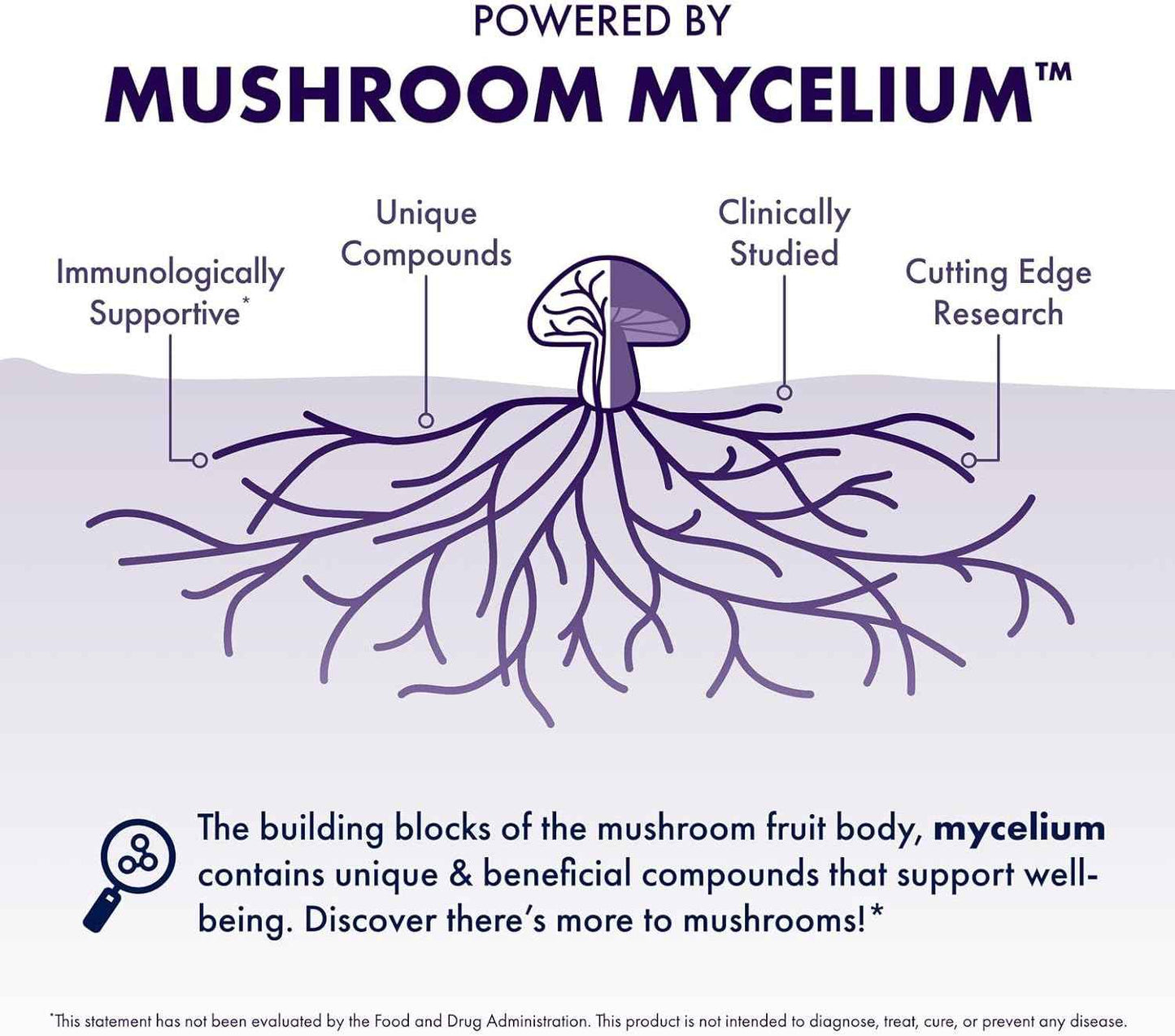 Host Defense BrainPower Stack Powder - Targeted Brain Support Supplement - Powder Mushroom Supplement with Lion's Mane, Niacin (B3) & Vitamin B12 - Herbal Brain Support - 100g (66 Servings)*