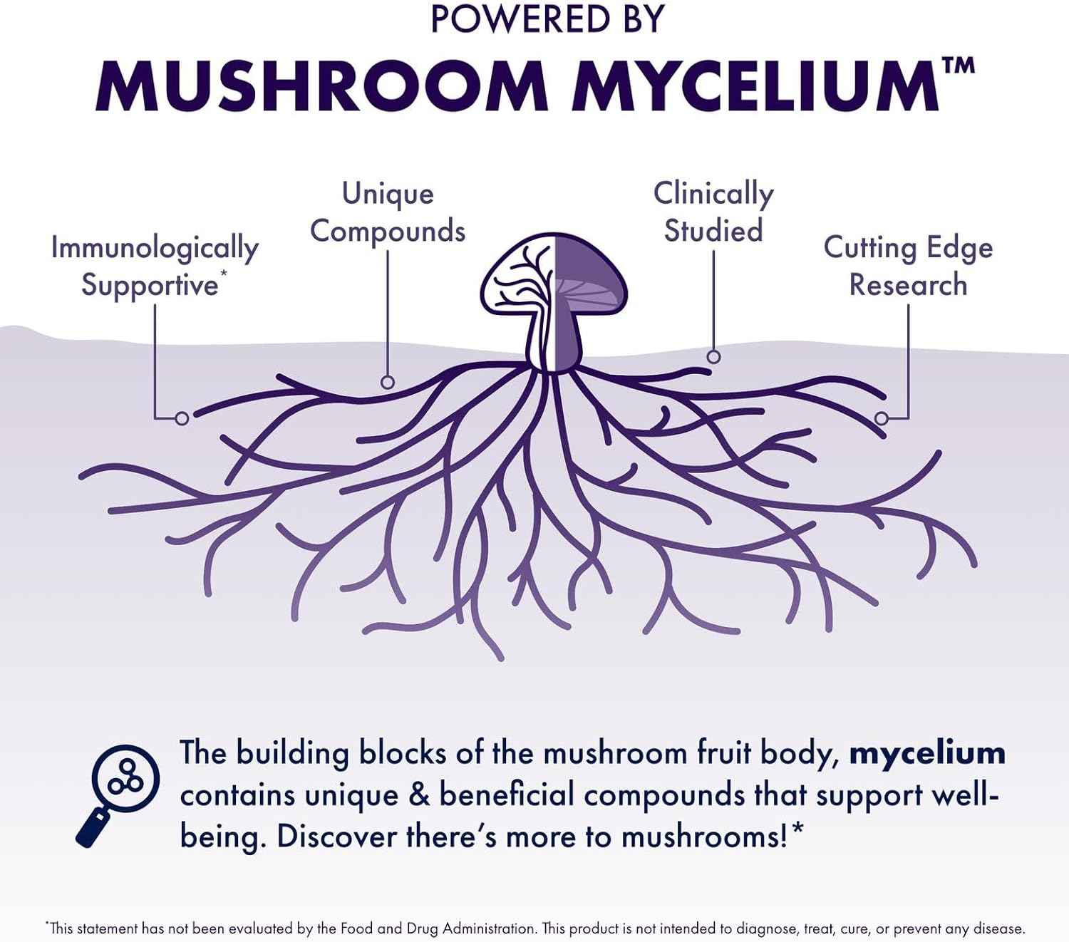 Host Defense BrainPower Stack Powder - Targeted Brain Support Supplement - Powder Mushroom Supplement with Lion's Mane, Niacin (B3) & Vitamin B12 - Herbal Brain Support - 100g (66 Servings)*