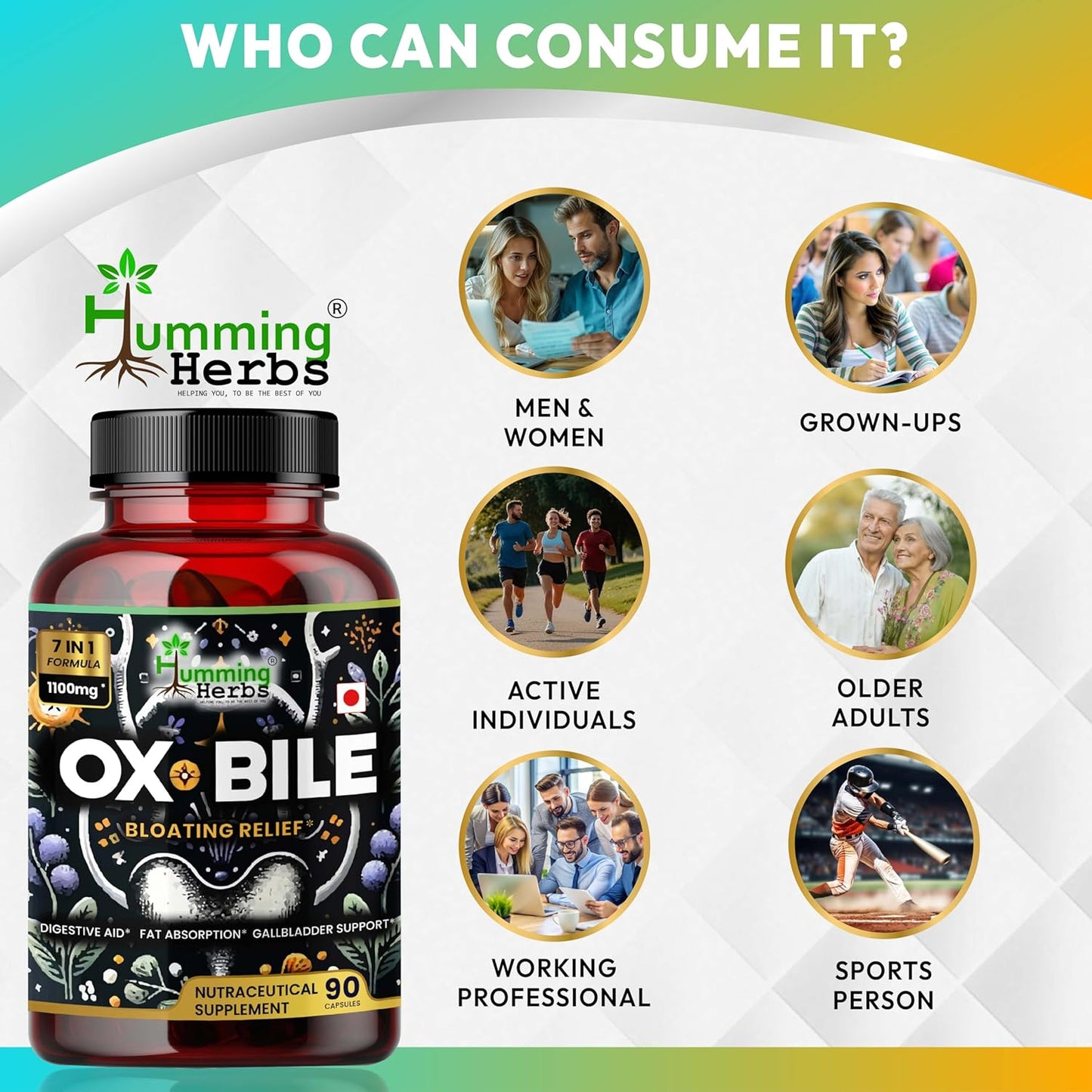 Humming Herbs Ox Bile 1100mg 90 Capsules Supplement with Probiotics, Turmeric, and Inulin - 7 in 1 Formula for Adults - 45 Day Supply