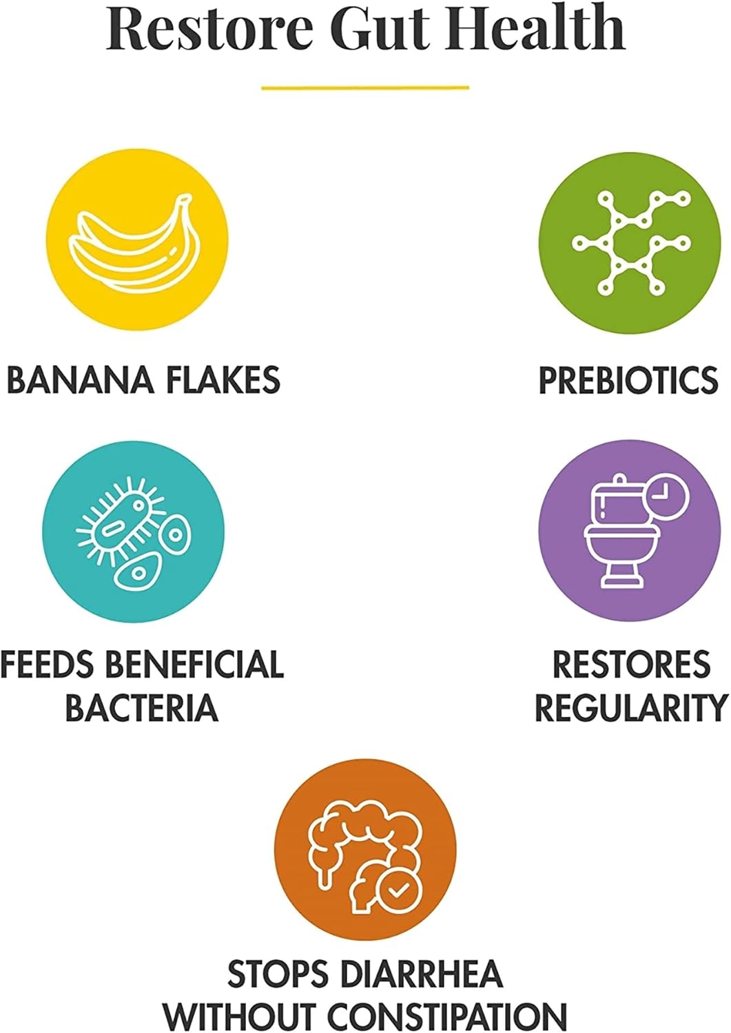 HUSSELL Banatrol Plus (Banana) - Natural Digestive Support Dietary Supplement