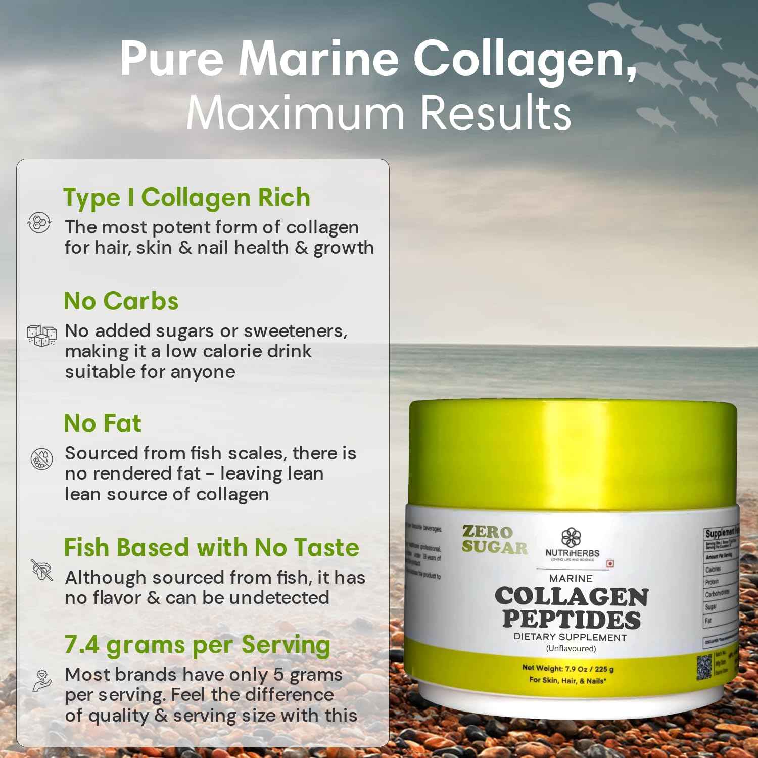 Hydrolyzed Marine Collagen Peptides Powder | Type 1 Protein Supplement | Unflavored Dietary Supplement | Supports Skin Elasticity, Joint Function, Hair Growth & Healthy Nails | 30 Servings