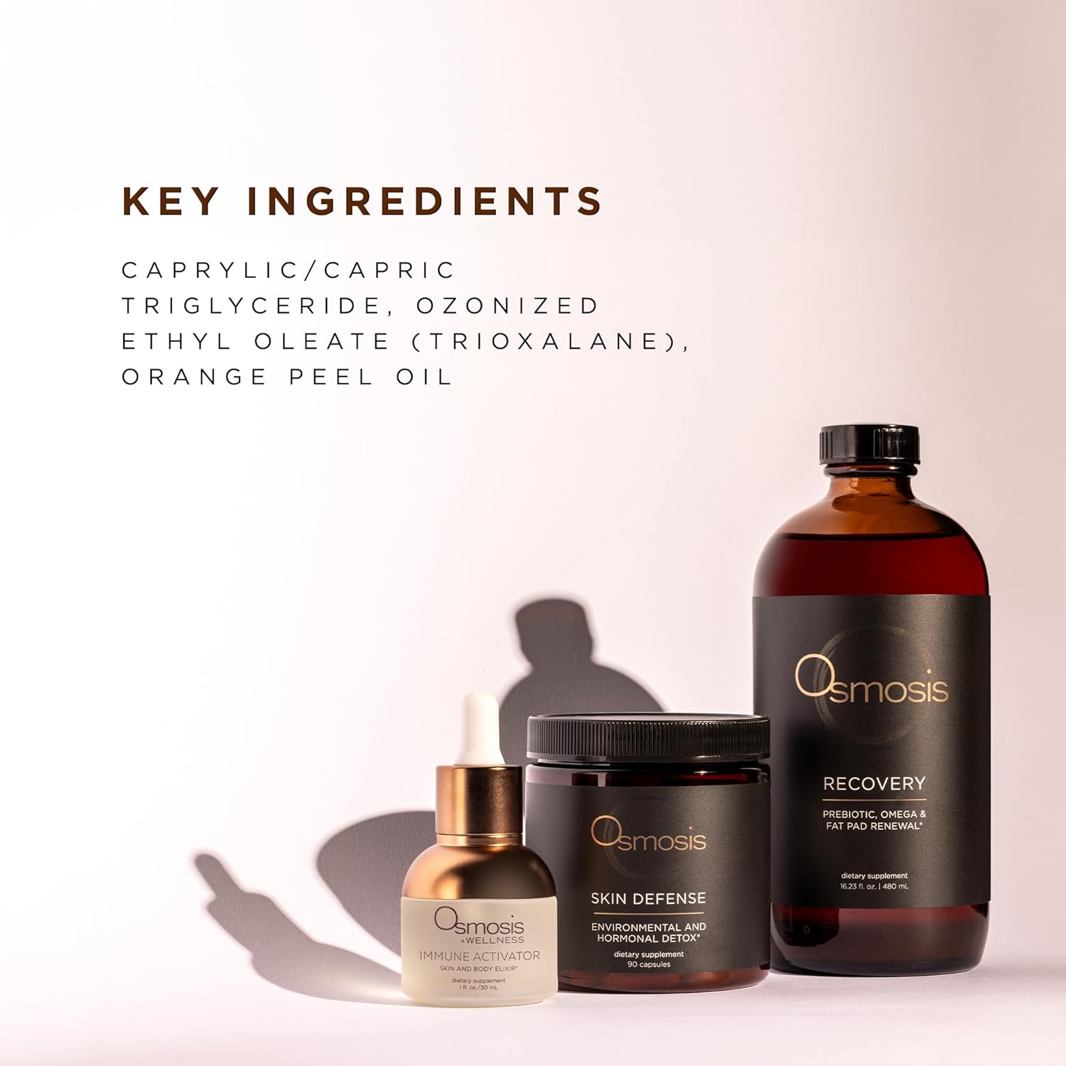 Immune Activator Repair Tincture - Boosts Immune and Overall Health - Daily Sugar-Free Supplement - 1 Fl Oz