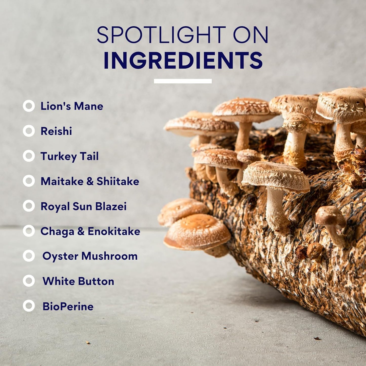 Immune Support Mushroom Complex with 10 Varieties - Boost Antioxidants, Cognitive Function - Vegan Capsules