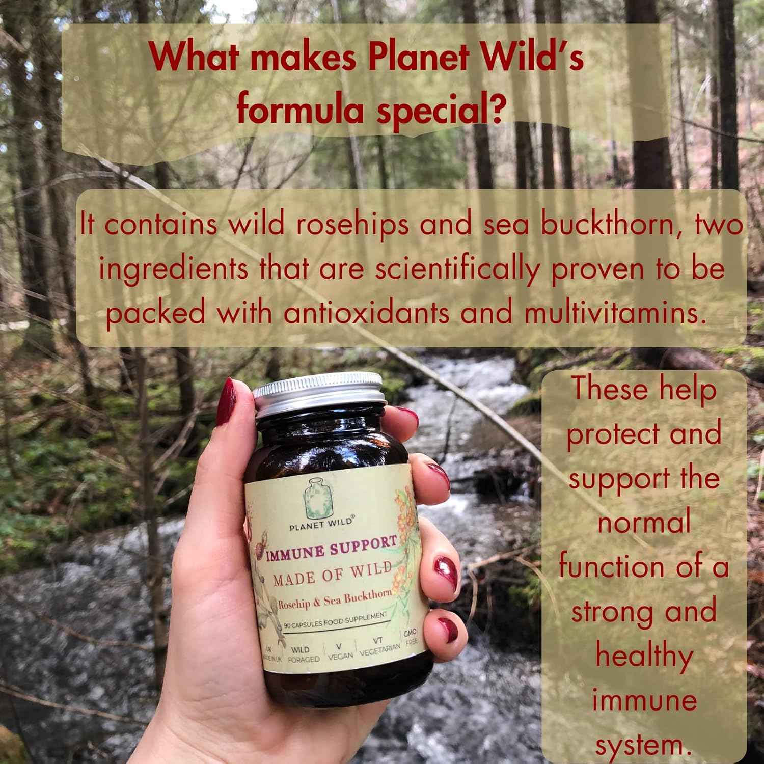 Immune Wild™| Wild Rosehip and SeaBuckthorn Formula for Immune Support | 90 Capsules | Made in UK | Rich in Omega Blend Fatty Acids, Multivitamins and Antioxidants | Zero Preservatives and Additives.