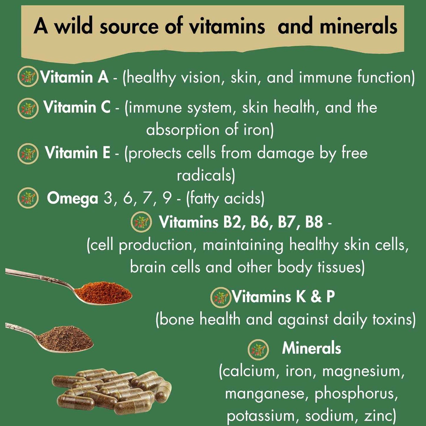 Immune Wild™| Wild Rosehip and SeaBuckthorn Formula for Immune Support | 90 Capsules | Made in UK | Rich in Omega Blend Fatty Acids, Multivitamins and Antioxidants | Zero Preservatives and Additives.