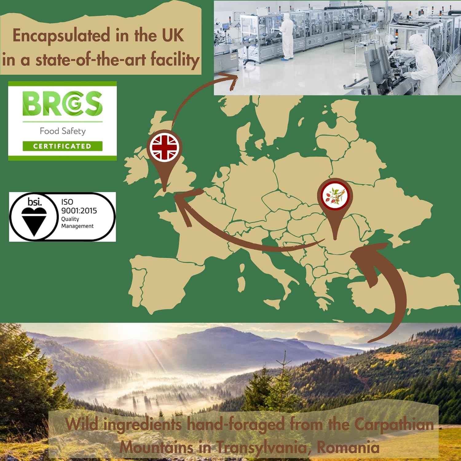 Immune Wild™| Wild Rosehip and SeaBuckthorn Formula for Immune Support | 90 Capsules | Made in UK | Rich in Omega Blend Fatty Acids, Multivitamins and Antioxidants | Zero Preservatives and Additives.