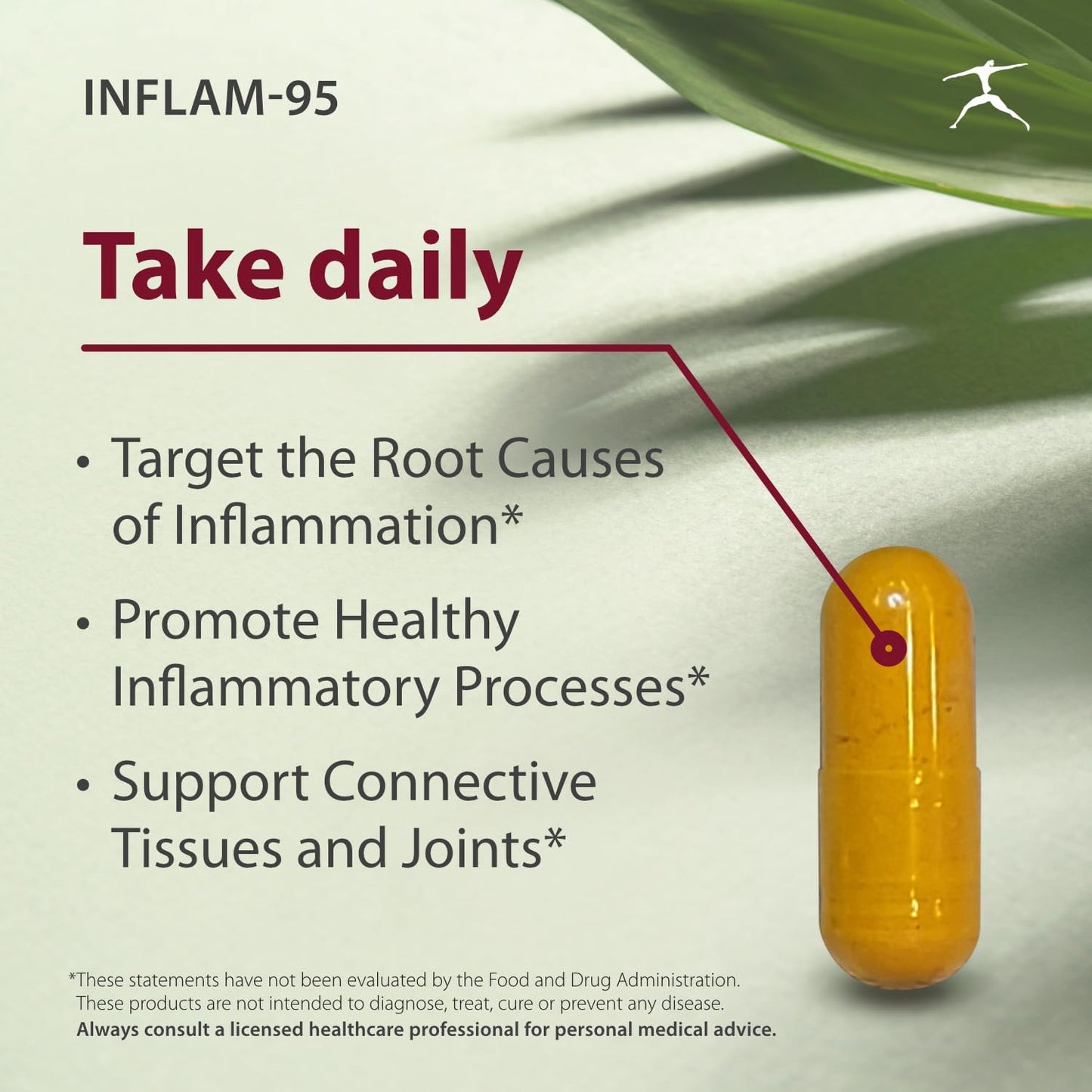 Inflam-95 Supplement with Ginger, Curcumin, Boswellia, Nettle, Bioperine - Promotes Healthy Inflammatory Response*