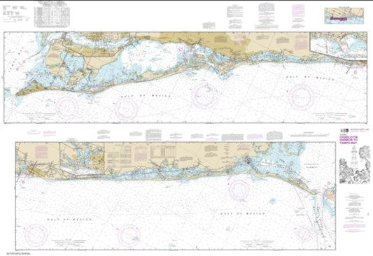 Intracoastal Waterway Charlotte Harbor to Tampa Bay NOAA Chart 11425 by East View Geospatial