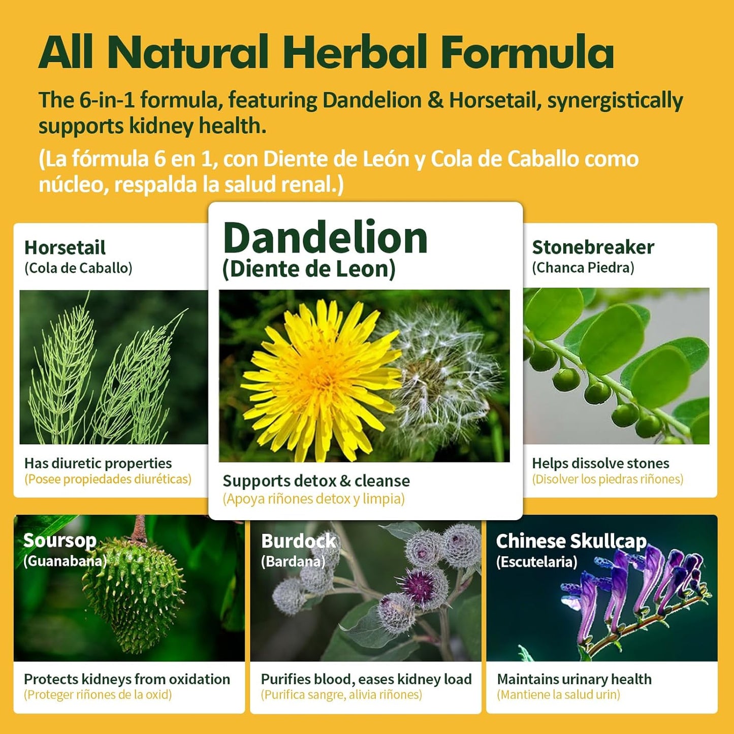 Kidney Cleanse Drops with Chanca Piedra, Horsetail, and Dandelion for Water Retention Relief - Herbal Extract Liquid Detox - 2oz