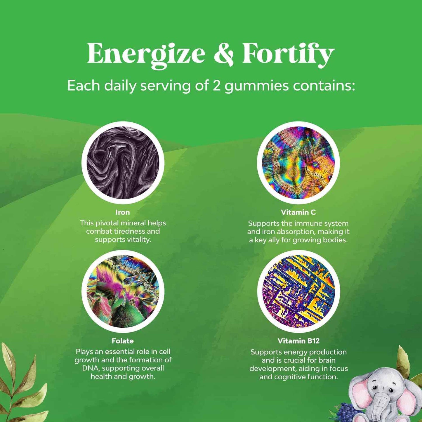 Kids Iron Gummies - Blood Builder Iron Supplements for Kids with Gentle for Stronger Immunity & Energy - Vitamin B12, Folate & Vitamin C Gummies - Vegan, GMO & Gluten Free for Toddlers - 60 Count