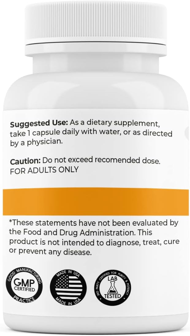 L-Theanine Brain Support Focus Supplement - 100mg, 200 Count - Supplement Outlet