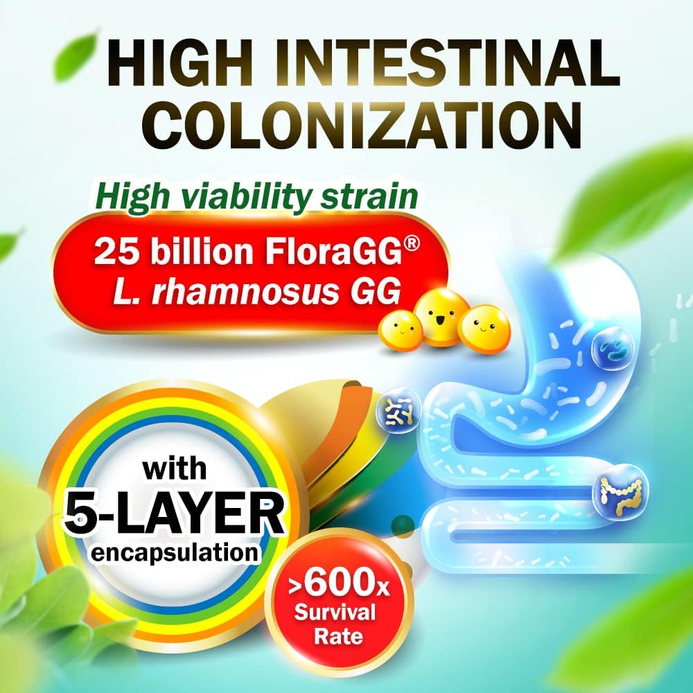 LABO Nutrition FloraGG Probiotic Supplement with Lactobacillus Rhamnosus GG & Prebiotic Fiber - 25 Billion CFU, Gluten Free, 60 Delayed Release Capsules x2