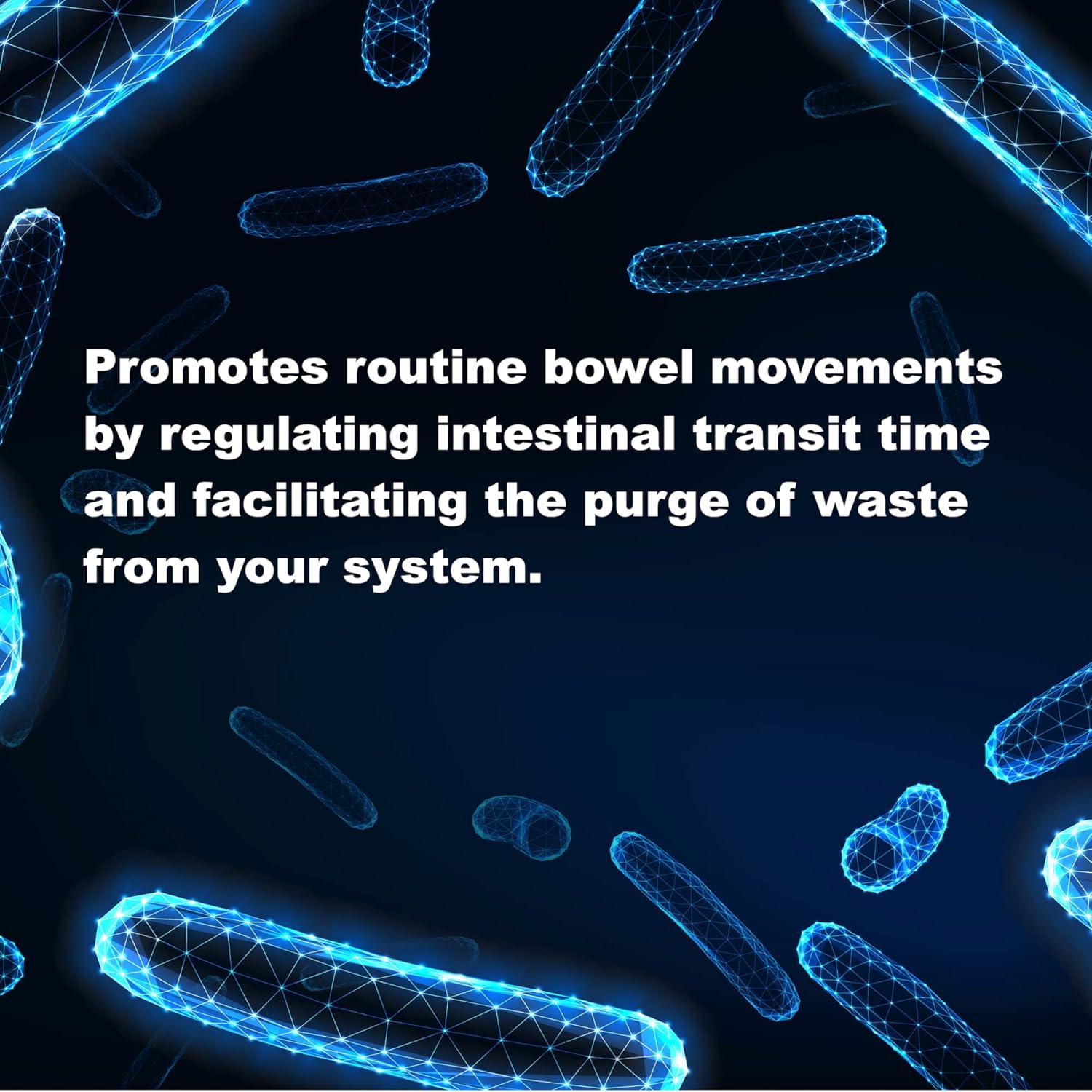 Lactobacilli Complex Supplement | 10 Billion CFU | 60 Capsules | Supports Gut Health, Regularity | Gluten Free, Non-GMO | USA Made