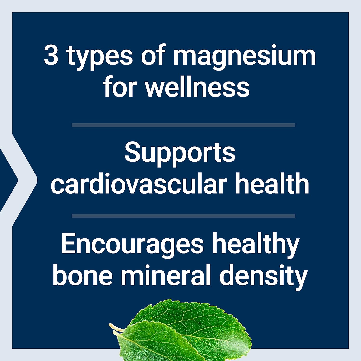 Life Extension Magnesium Capsules 500mg - Heart Health, Bone Support, Metabolism Boost - 100 Vegetarian Capsules x 2 Pack