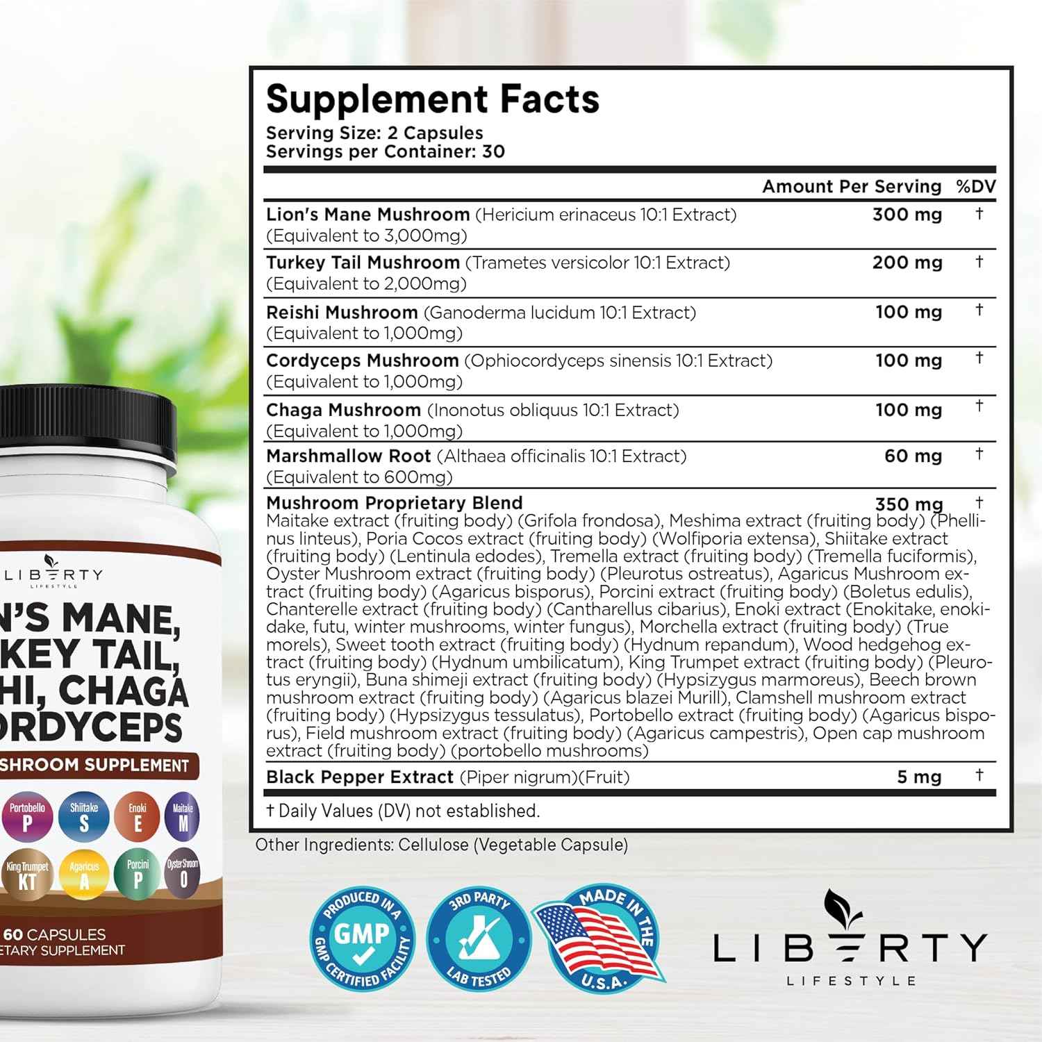 Lions Mane Mushroom Supplement with Turkey Tail Reishi Cordyceps Chaga with Marshmallow Root - 3-Pack