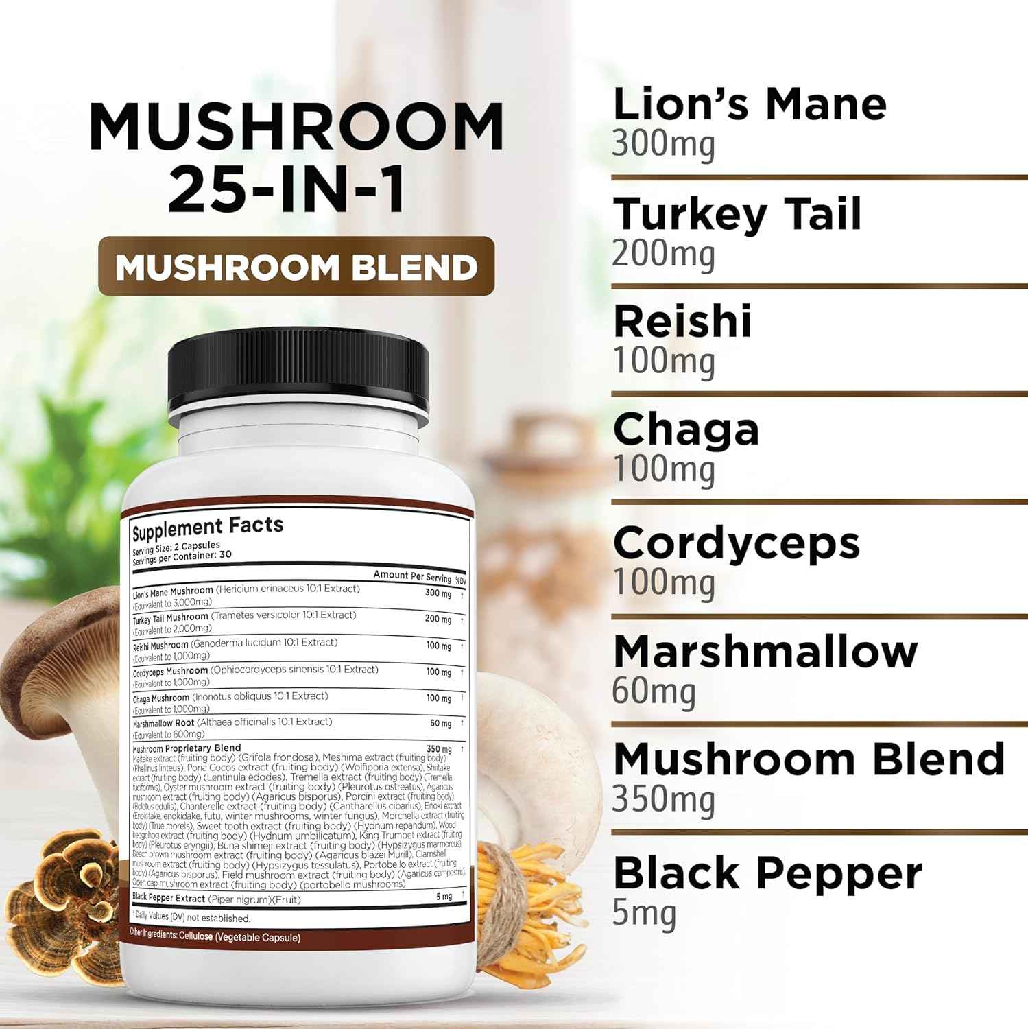 Lions Mane Mushroom Supplement with Turkey Tail Reishi Cordyceps Chaga with Marshmallow Root - 3-Pack