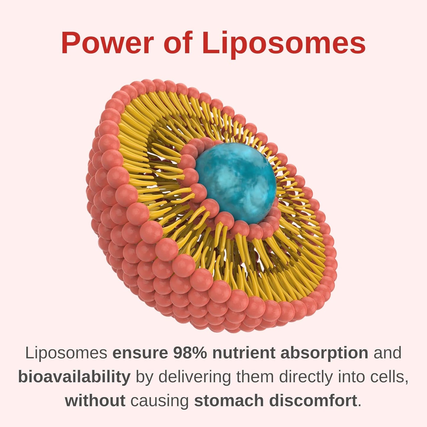 Liposomal Liquid Prenatal + Postnatal Supplement - Iron-Free, Sugar-Free, Non-GMO, Gluten-Free - Promotes Baby Development and Maternal Health During Pregnancy and Nursing