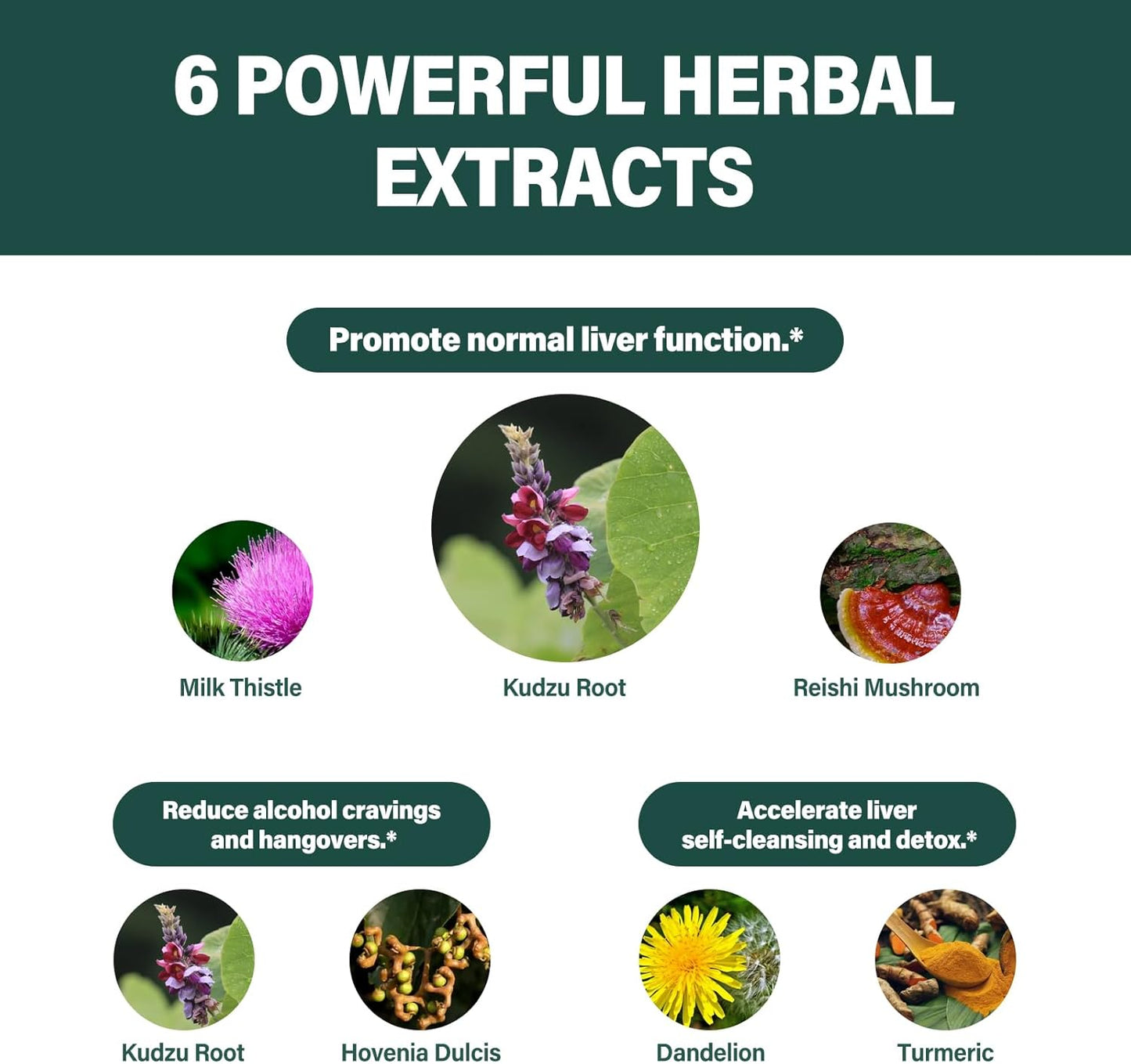 Liver Health Support: Herbal Kudzu Root Drops for Liver Cleanse Detox - 2oz Herbal Extract Blend