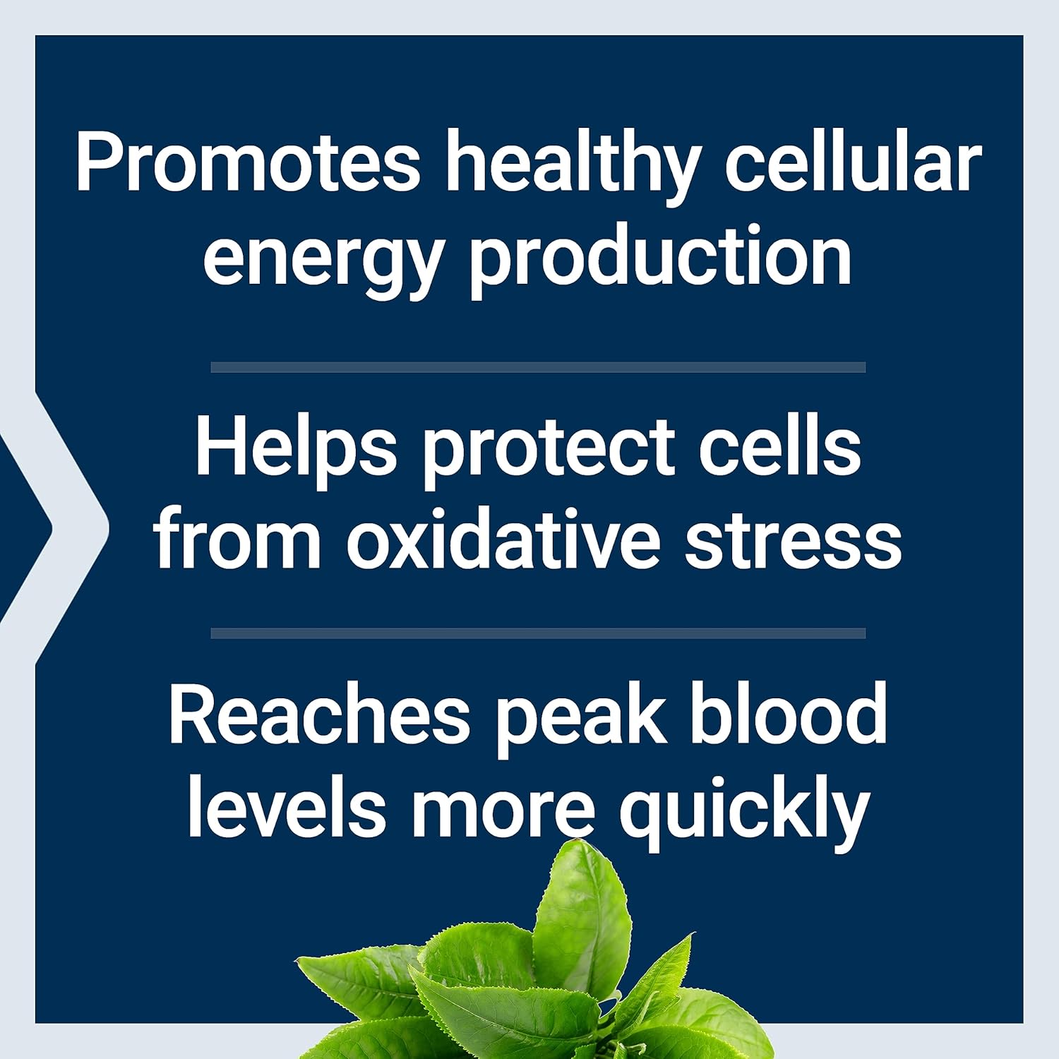 Longevity Supplement for Heart Health & Oxidative Stress Defense - Life Extension Super Ubiquinol CoQ10 with PQQ, CoQ10, PQQ, Shilajit, and Super R-Lipoic Acid