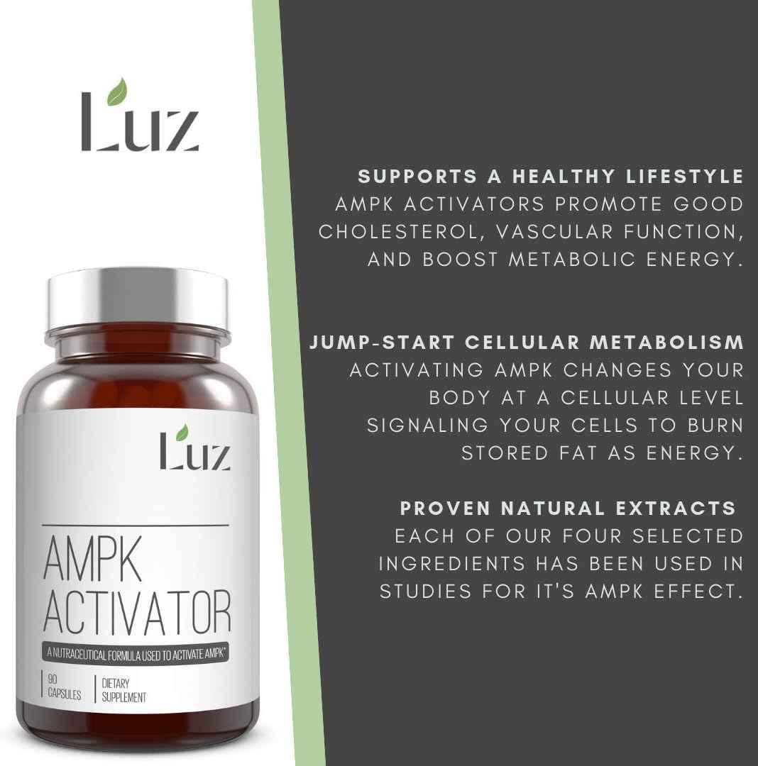Luz AMPK Activator - Research Based - 90 Capsules