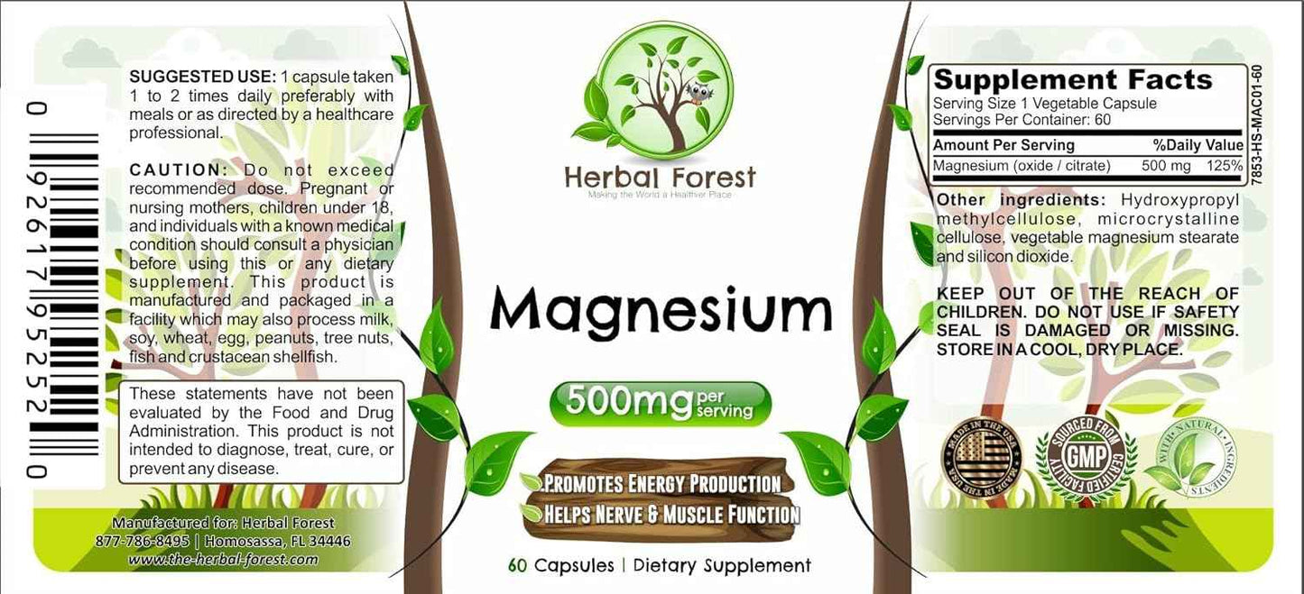Magnesium 500 mg