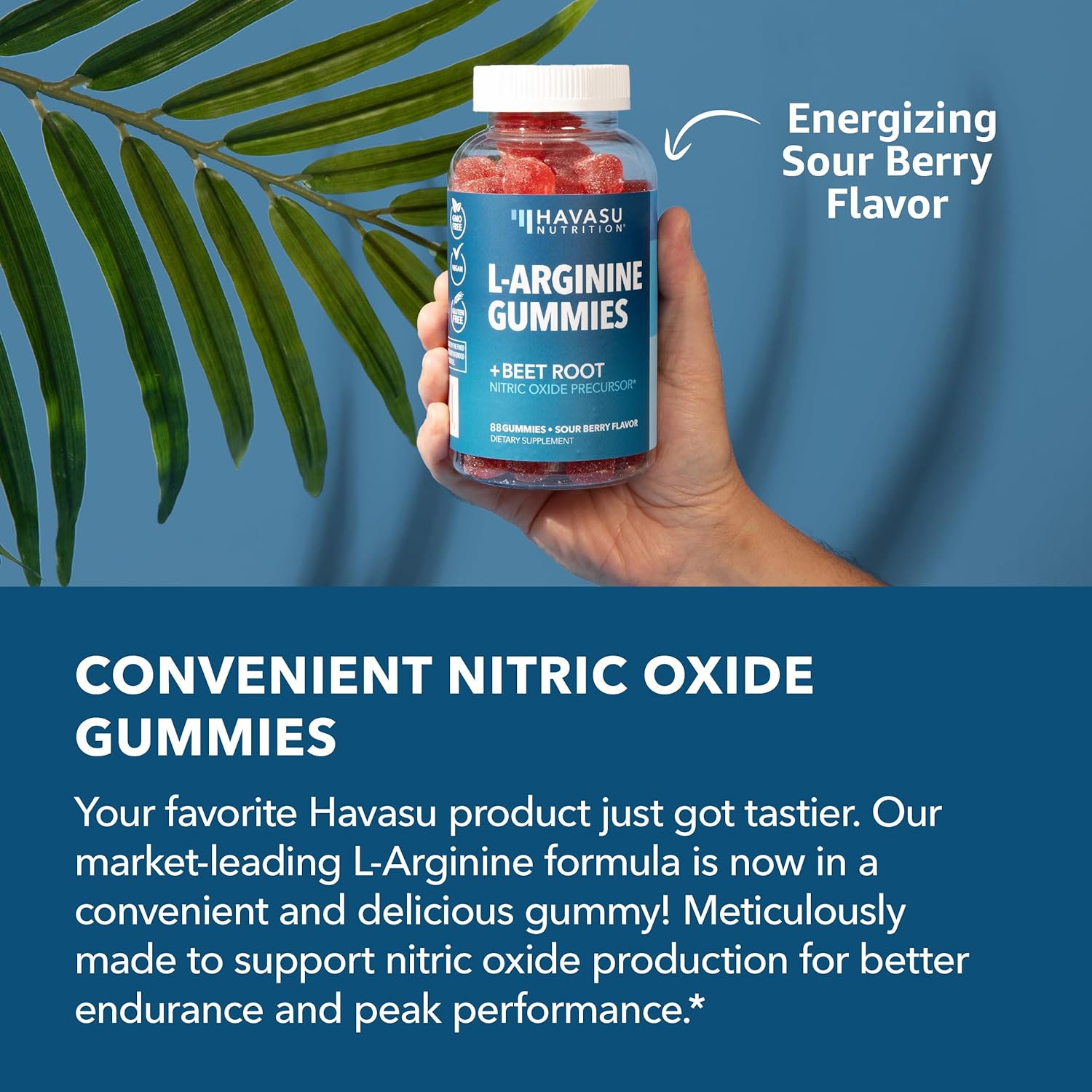 Male Endurance Bundle: L-Arginine Gummies and Organic Maca Root Liquid Drops by Havasu Nutrition