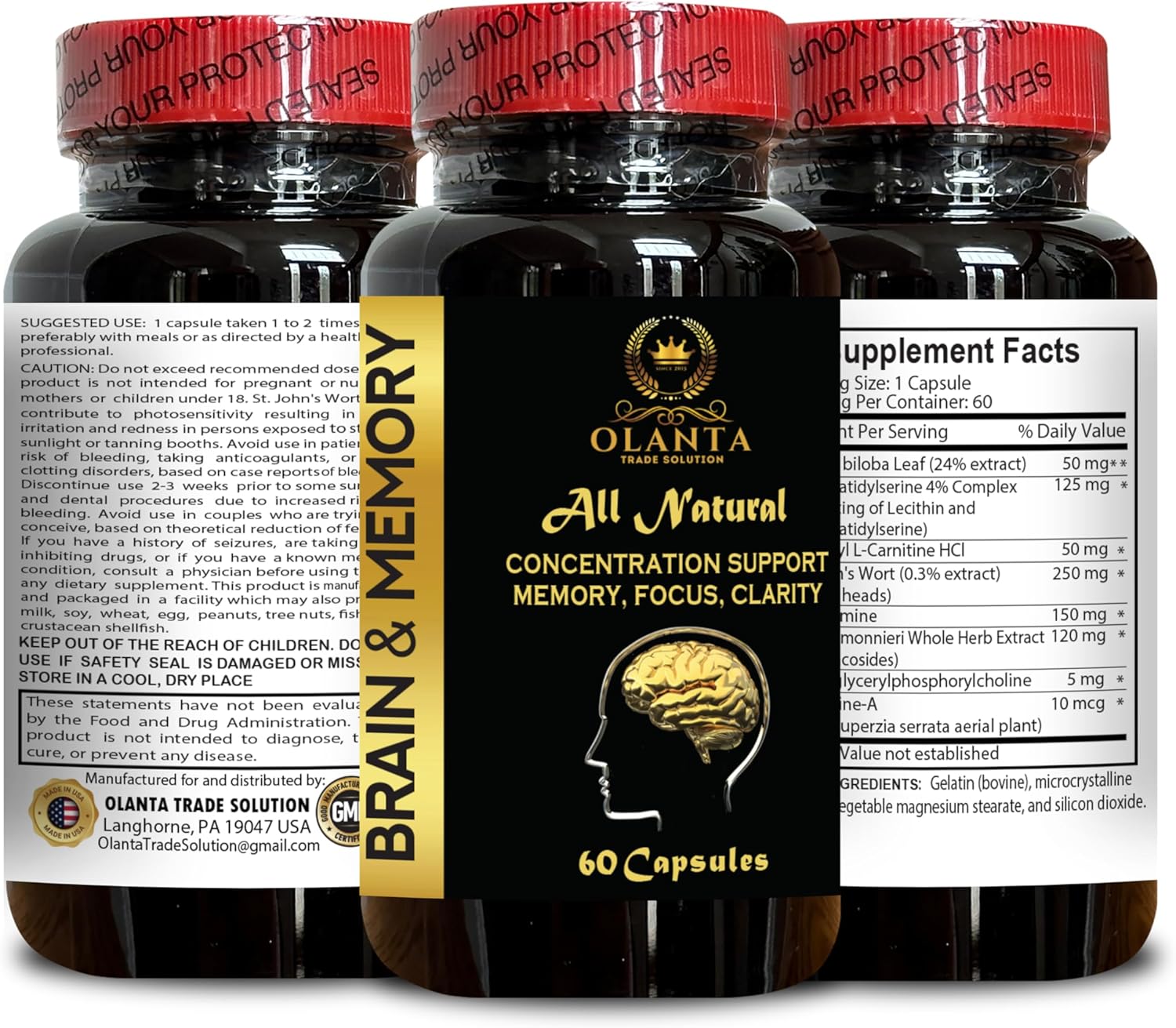 Memory Boosting Brain Supplement with Ginkgo Biloba - Enhance Focus, Clarity, & Learning Accuracy - 2 Bottles 120 Capsules