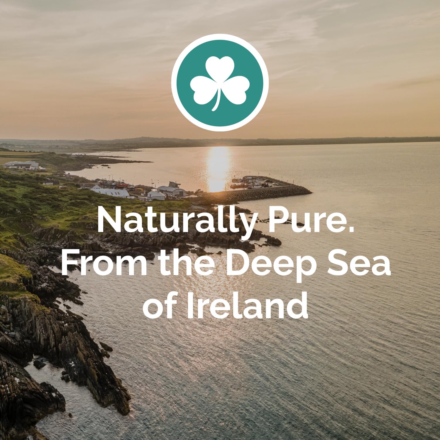 Menosea Liquid Magnesium Drops for Menopause Wellness - Rapid Absorption with Free Ion Magnesium, Minerals, and Trace Elements - Promotes Balance and Relaxation - 30ml, 30-Day Supply