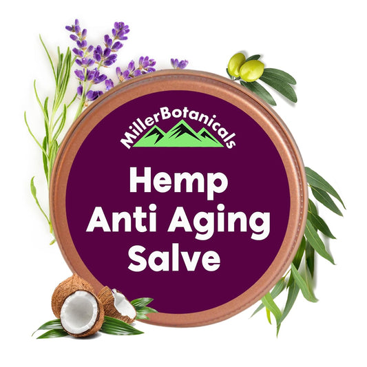 Miller Botanicals metabolism booster Salve - Natural Skin Moisturizer with Aloe Vera, Coconut Oil, Rose Hips - 1.7oz (6000 mg)