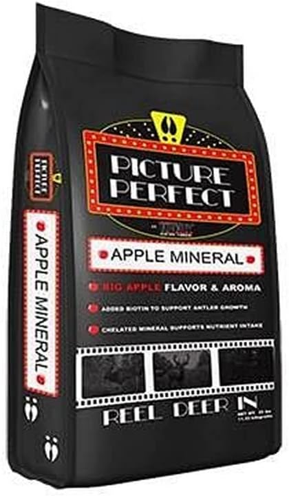 Mineral Covert Camera for Picture-Perfect Surveillance
