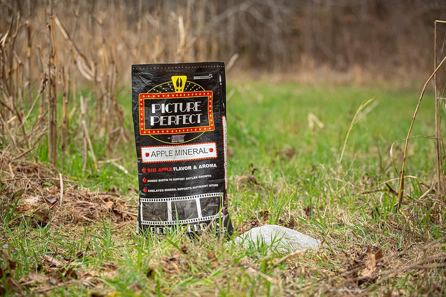 Mineral Covert Camera for Picture-Perfect Surveillance
