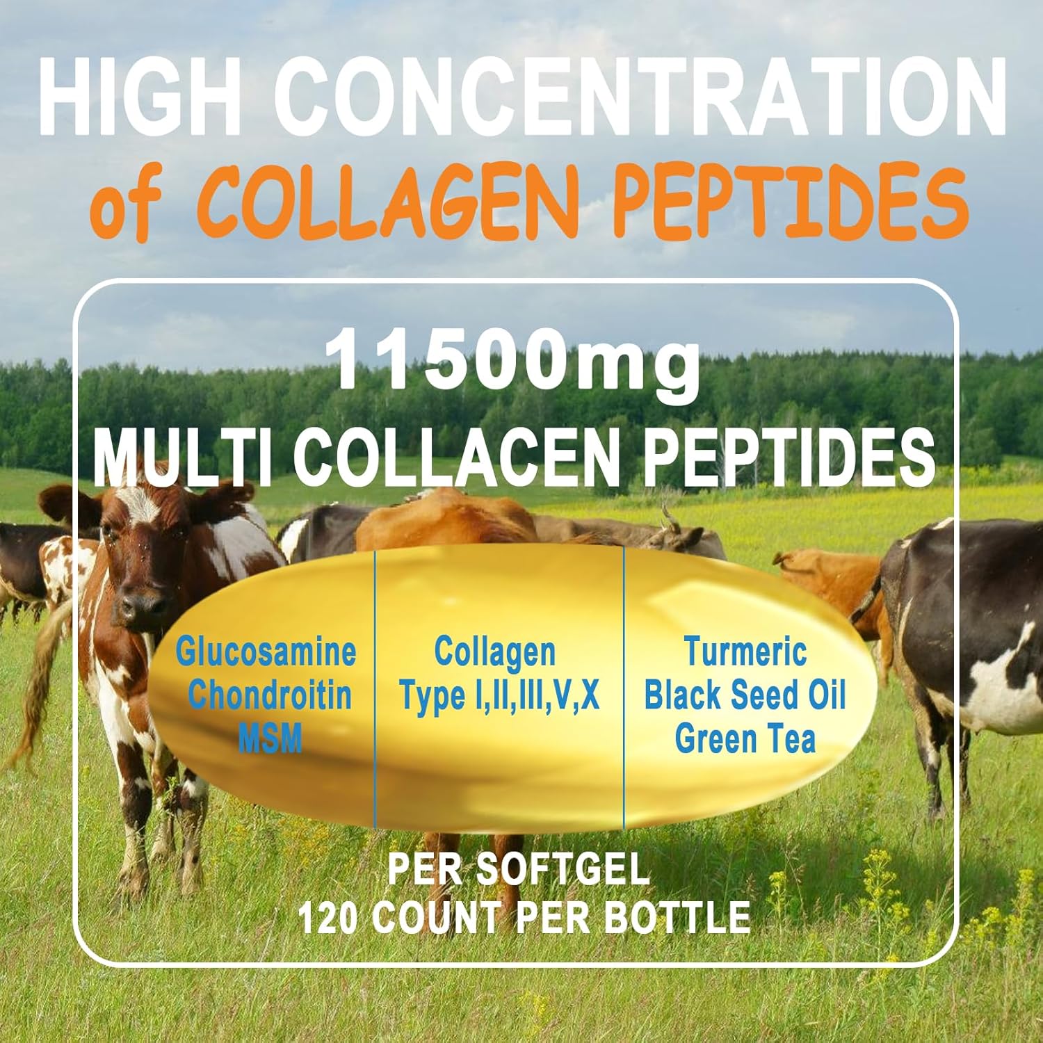 Multi Collagen Peptides Softgels with Glucosamine Chondroitin MSM & Biotin - Supports Skin, Hair, Nails, Joints, Bones, & Gut Health - Non-GMO Formula for Women