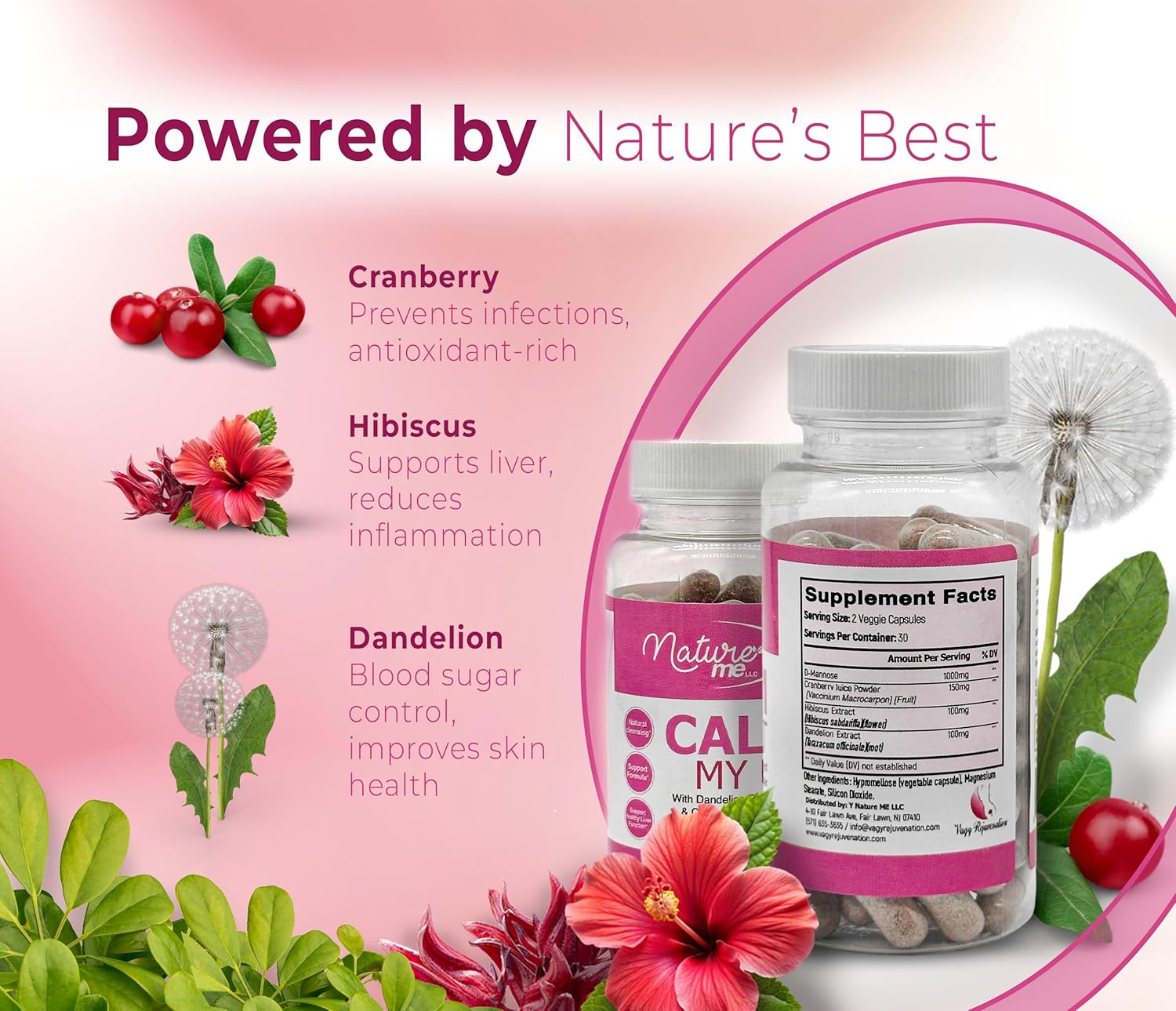 Natural Cranberry Supplement for Women's Urinary Tract Health - 60 Capsules - Supports UT Wellness and Rejuvenation