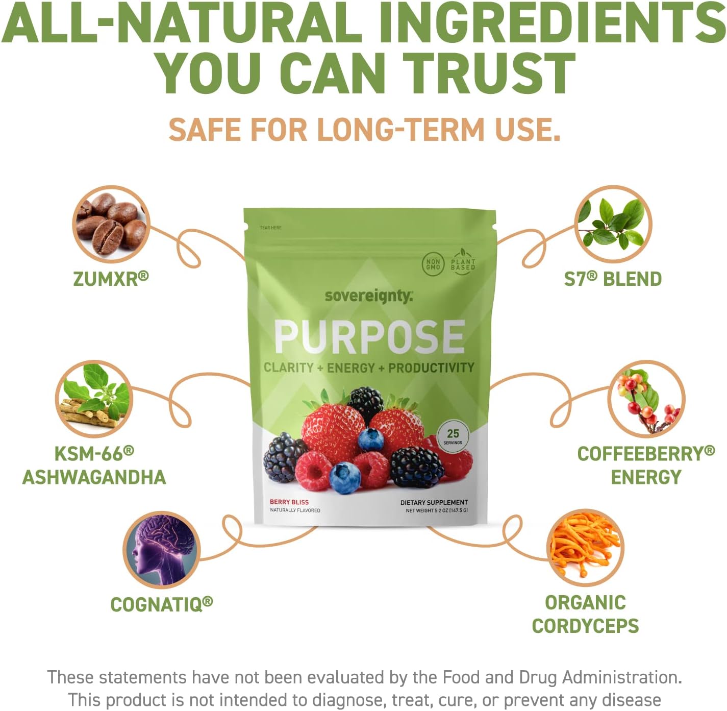 Natural Herb Nootropic Brain Supplements for Memory, Focus & Energy - Vegan, Gluten Free - 1 Month Supply