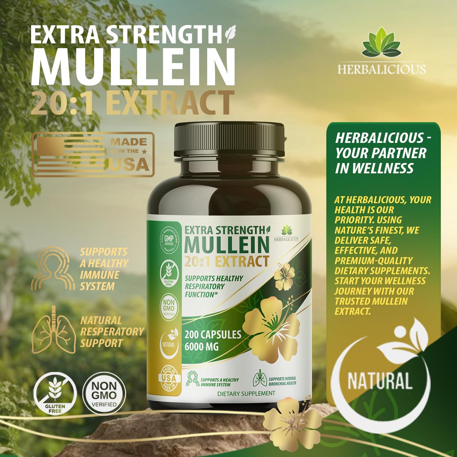Natural Mullein Leaf Extract Capsules - 20:1 Concentration for Lung Detox - 200 Capsules - Supports Respiratory & Immune Health - Easy 1 Capsule Serving