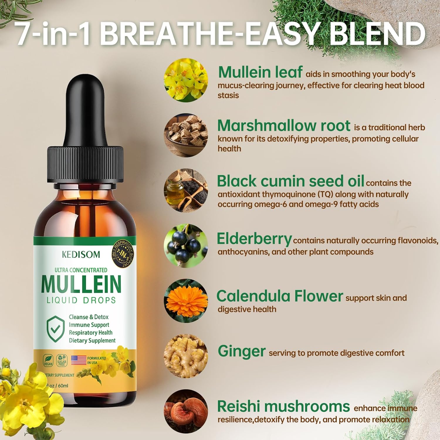 Natural Mullein Leaf Extract Drops with Marshmallow Root and Ginger - 7 in 1 Lung Cleanse & Immune Support Supplement - 2 Fl Oz - Non-GMO Herbal Formula for Gut Health