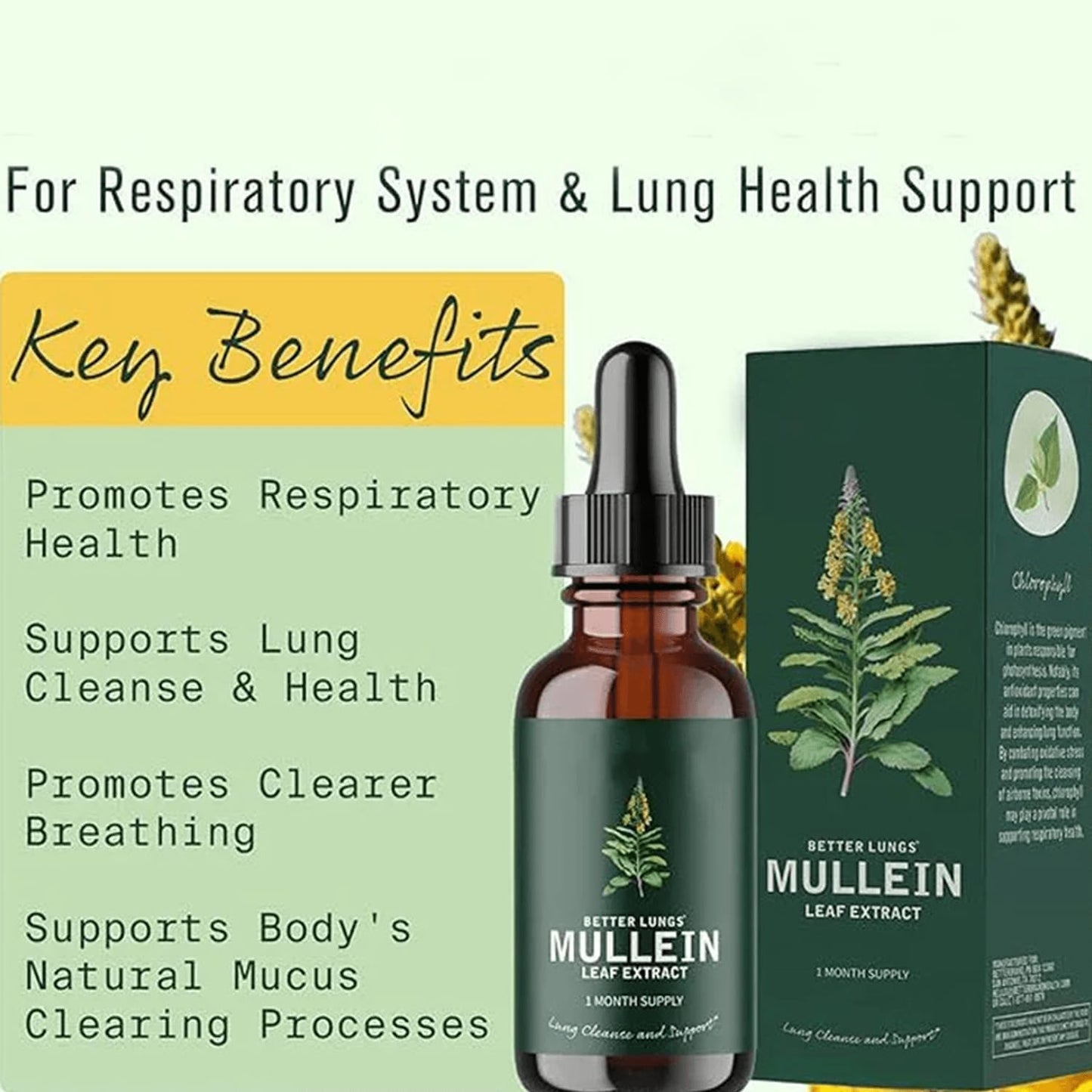 Natural Mullein Lung Cleanse Drops - Herbal Supplement with Mullein Leaf Extract for Smokers - Mullein Chlorophyll Drops for Healthy Lungs