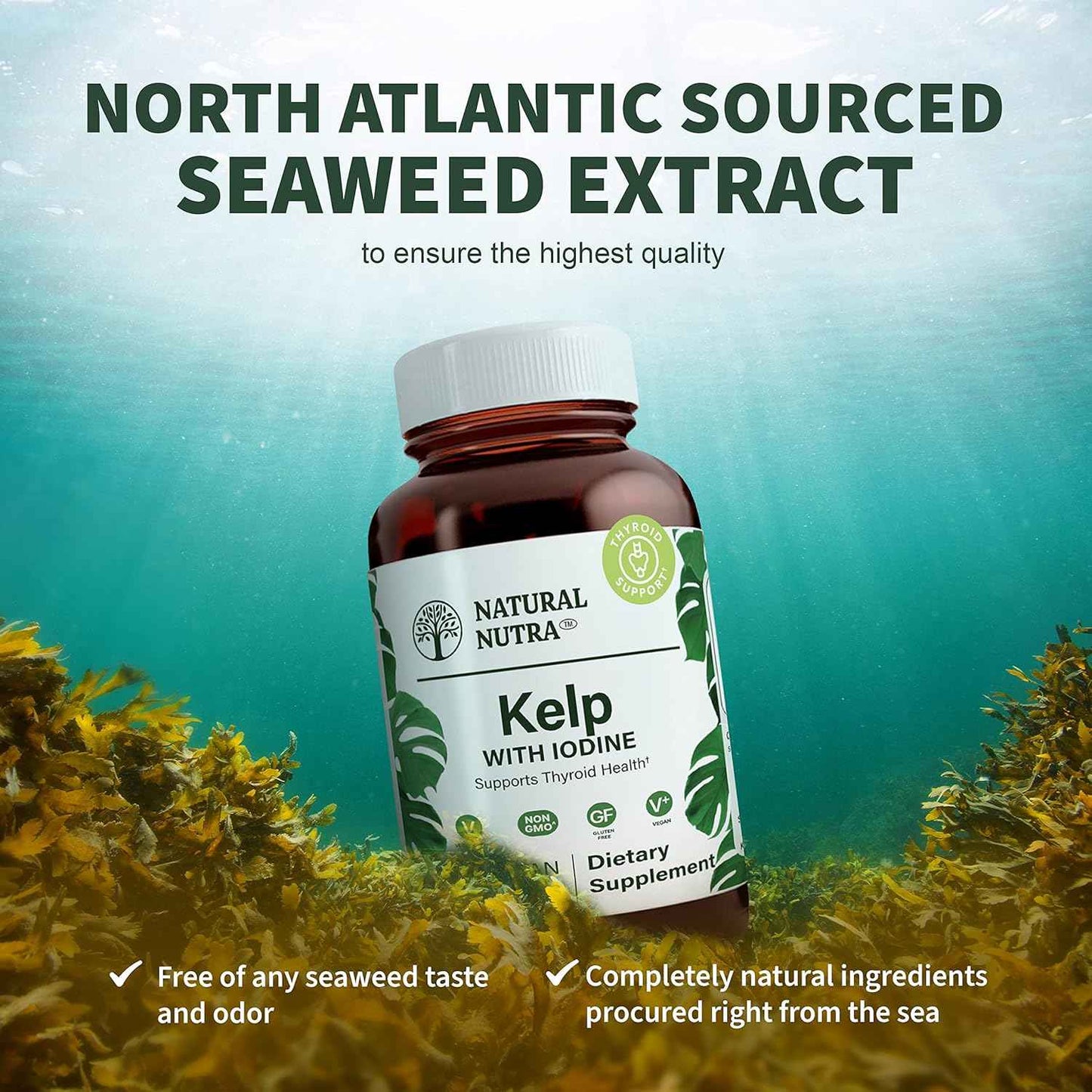 Natural Nutra Kelp Iodine Thyroid Support Supplement, Strengthens Immune System, and Regulates Metabolism, Vegan Sea Kelp, Non GMO, Atlantic Sourced Seaweed Extract, 225 mcg, 100 Tablets