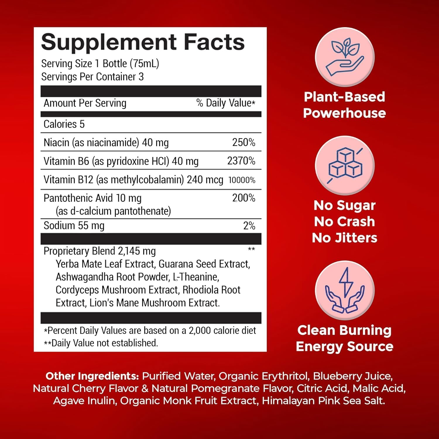 Natural Plant-Based Energy Shots - Sugar-Free Extra Strength Supplements with Vitamin B12, Lion's Mane, and Yerba Mate - Cherry Pomegranate Flavor - 48 Pack