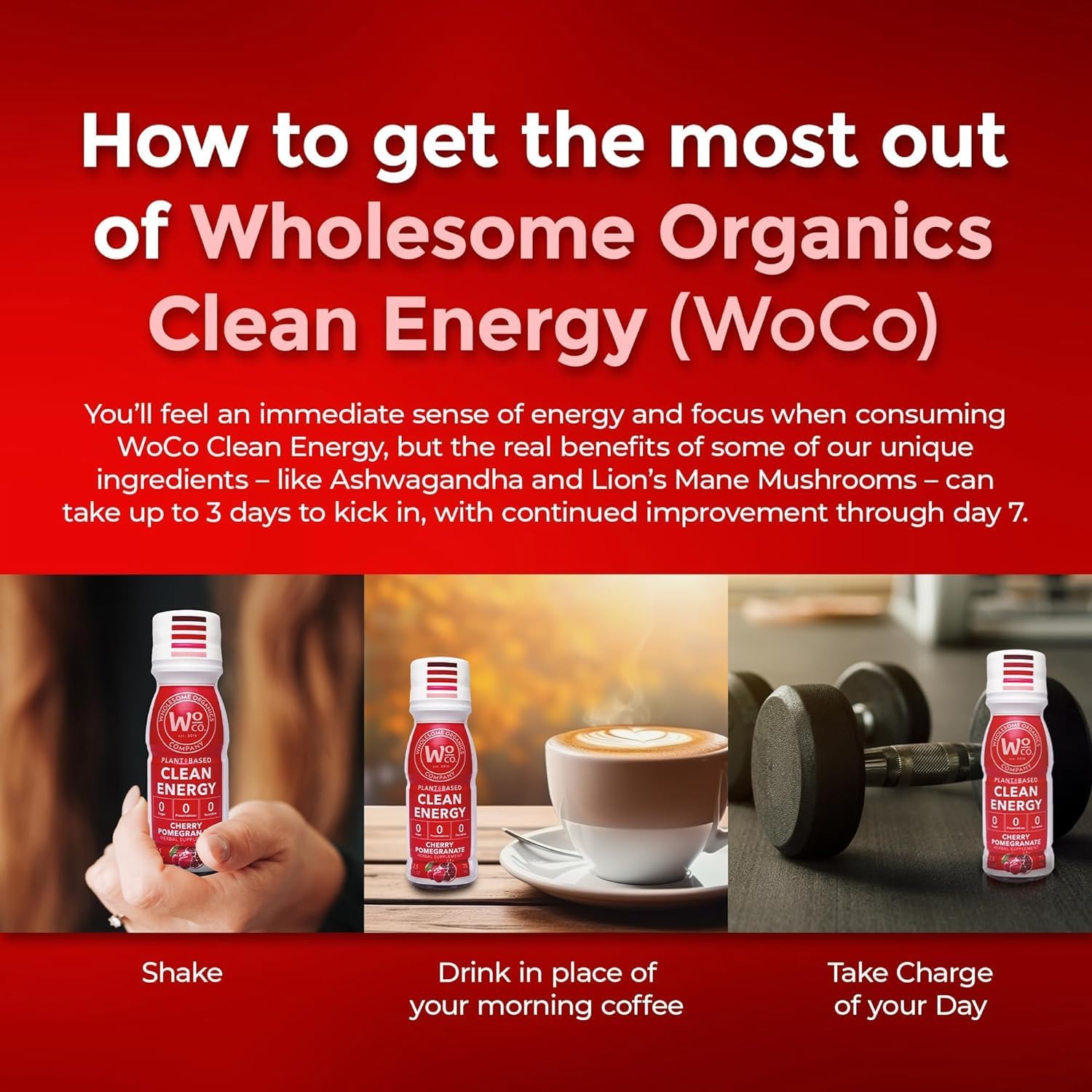 Natural Plant-Based Energy Shots - Sugar-Free Extra Strength Supplements with Vitamin B12, Lion's Mane, and Yerba Mate - Cherry Pomegranate Flavor - 48 Pack